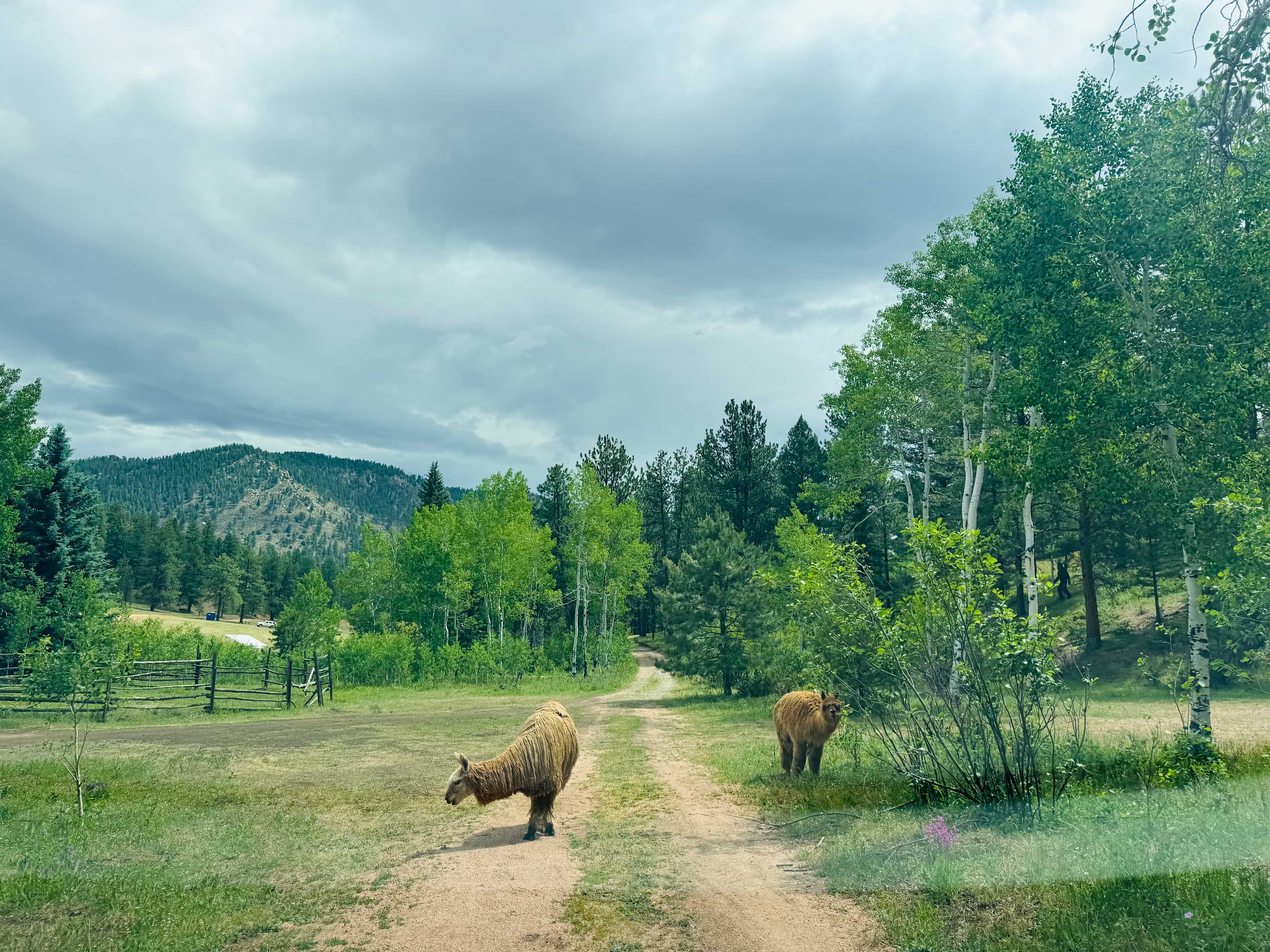 Rustic Creek Ranch