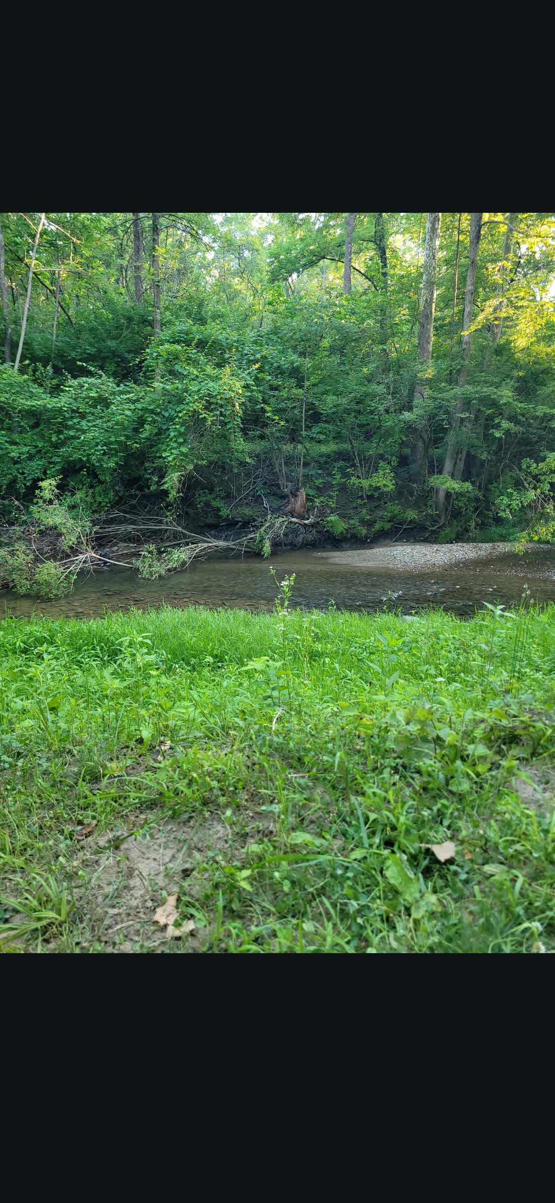 Beautiful creek next to the campsite! 