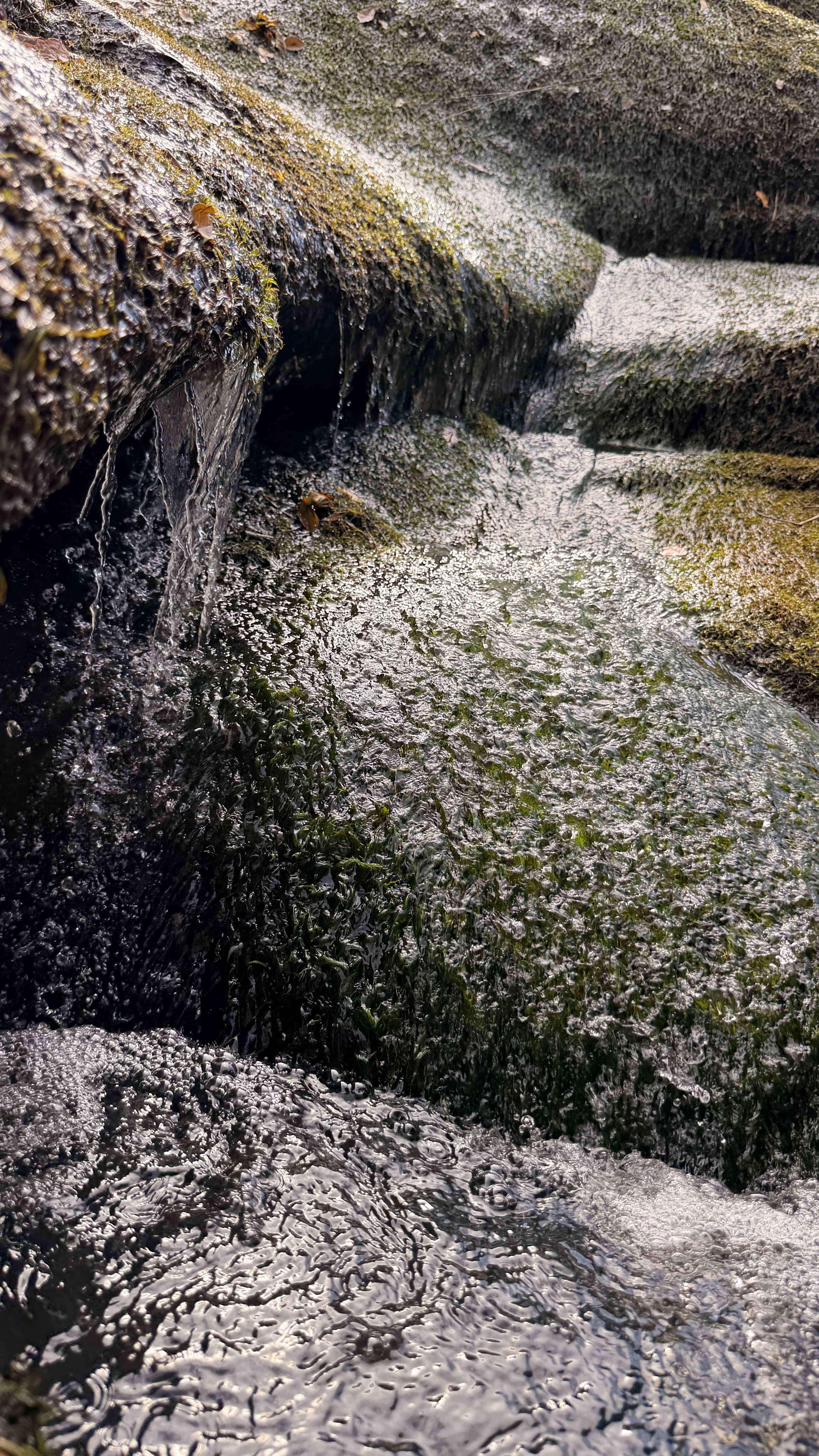 Waterfall camping close to CLT