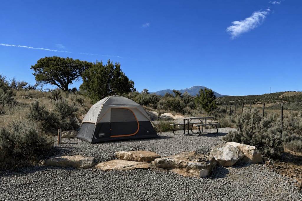 Picture of the site