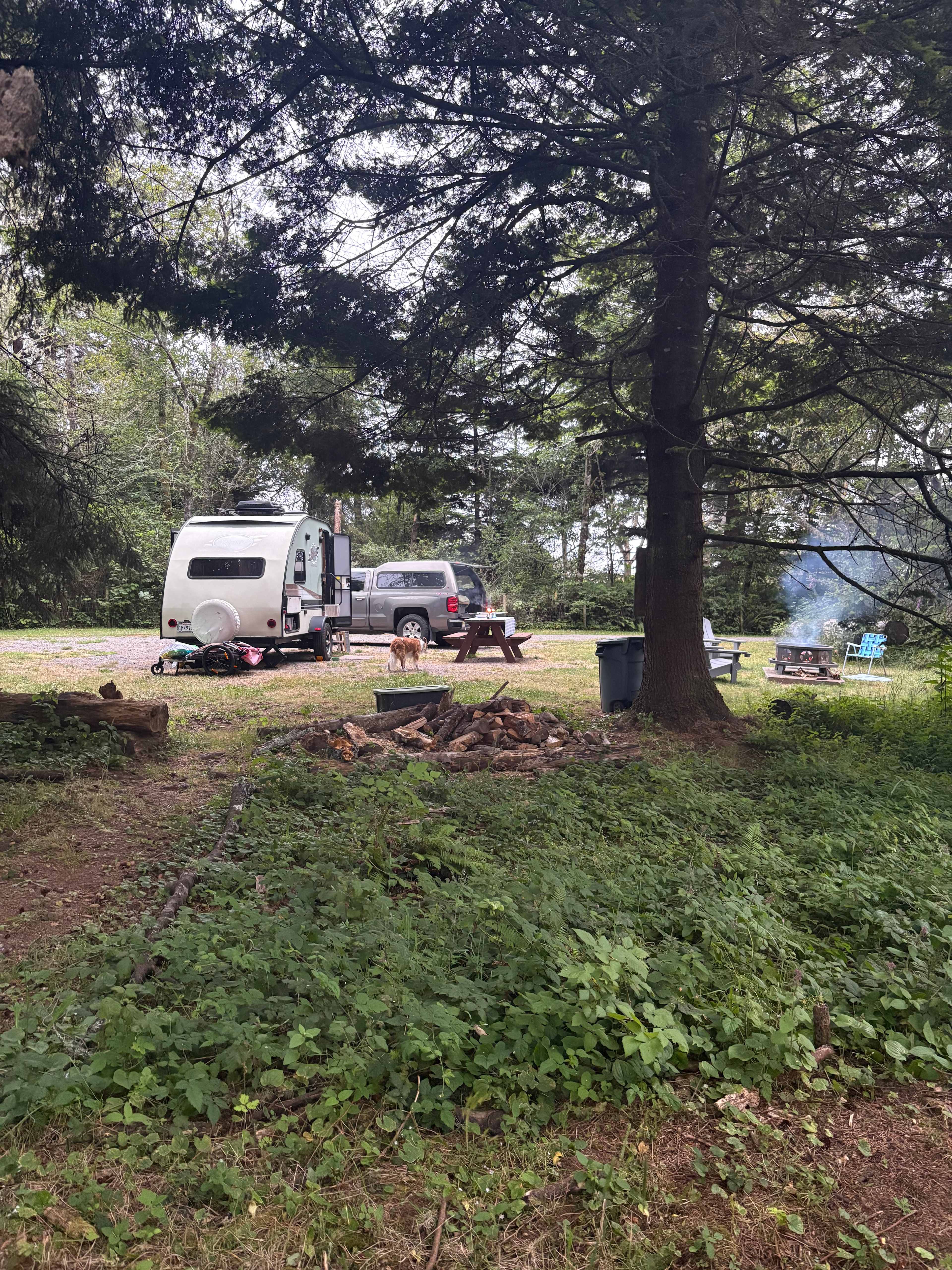 Cozy camp