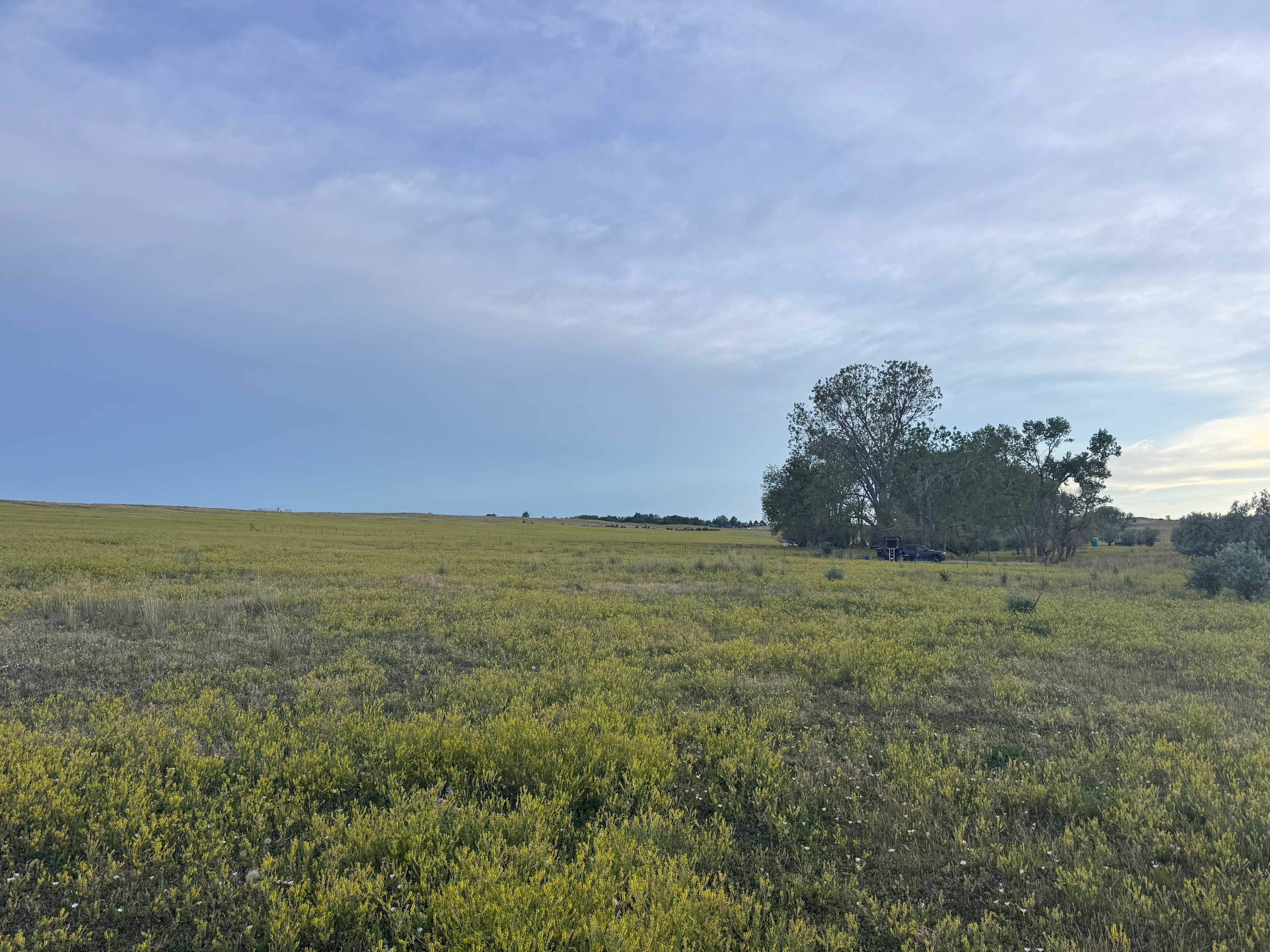 Trees, Lake view, Rock buttes!
