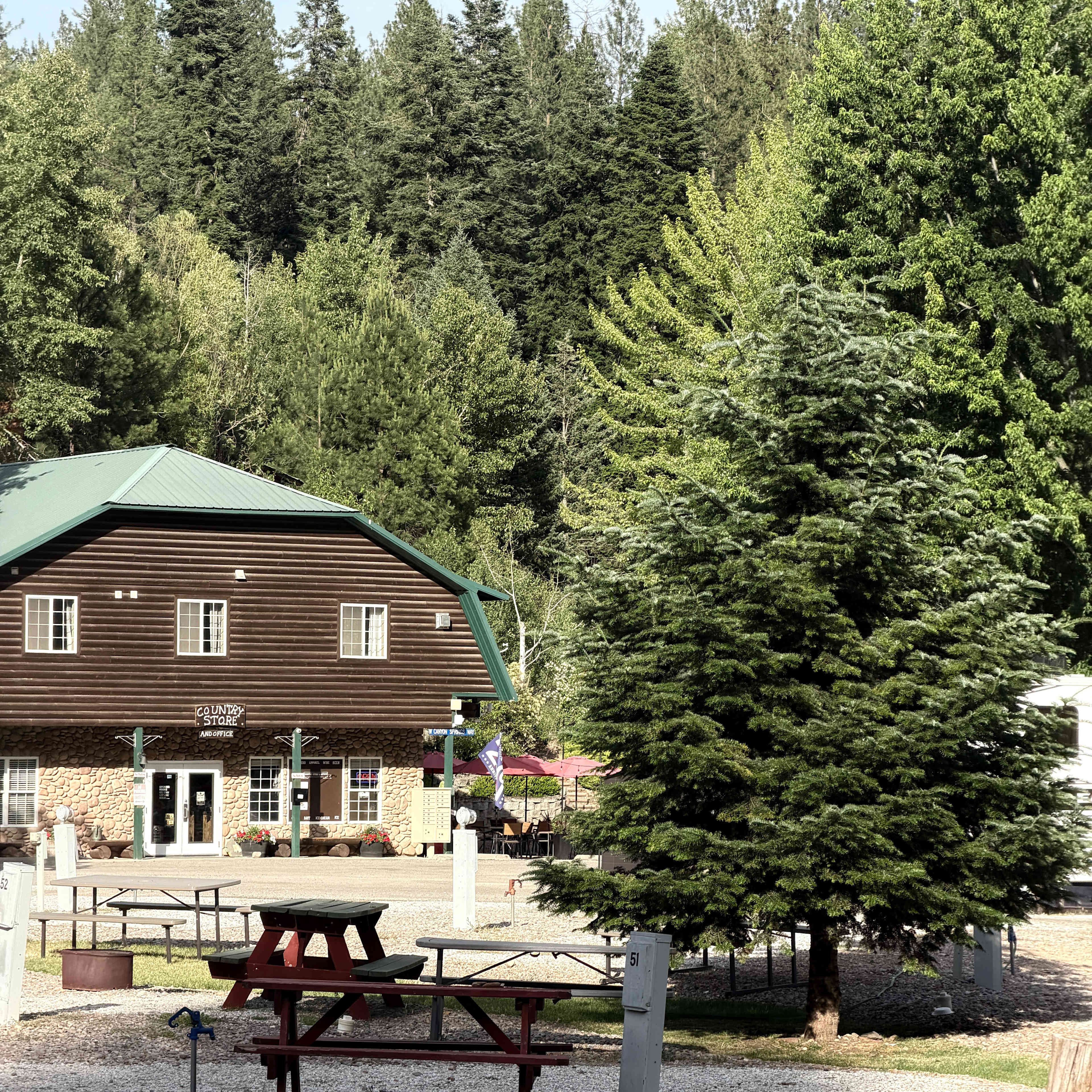 Picture of the site