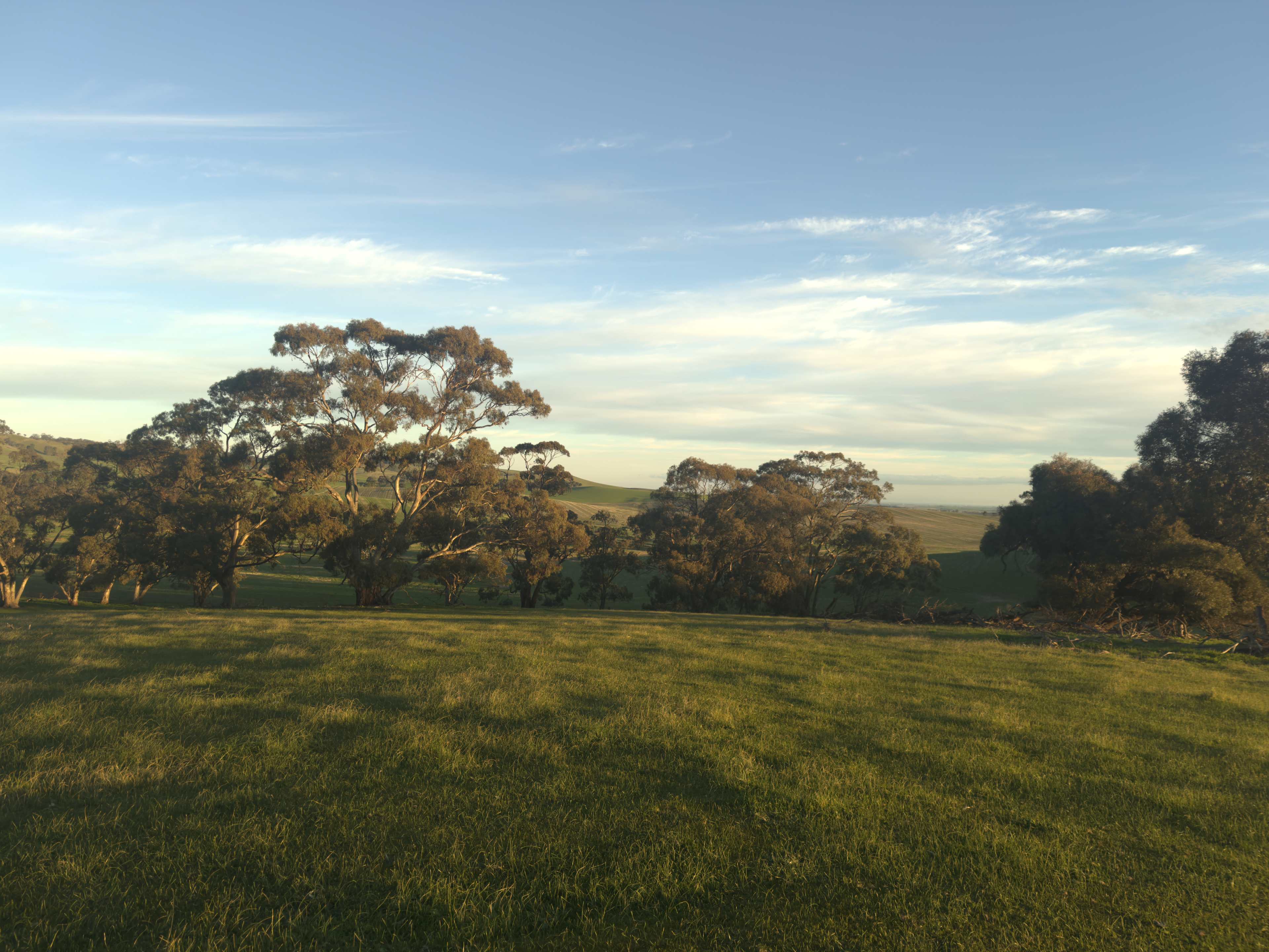 More views of the Farm on the way to the Sunset Baa