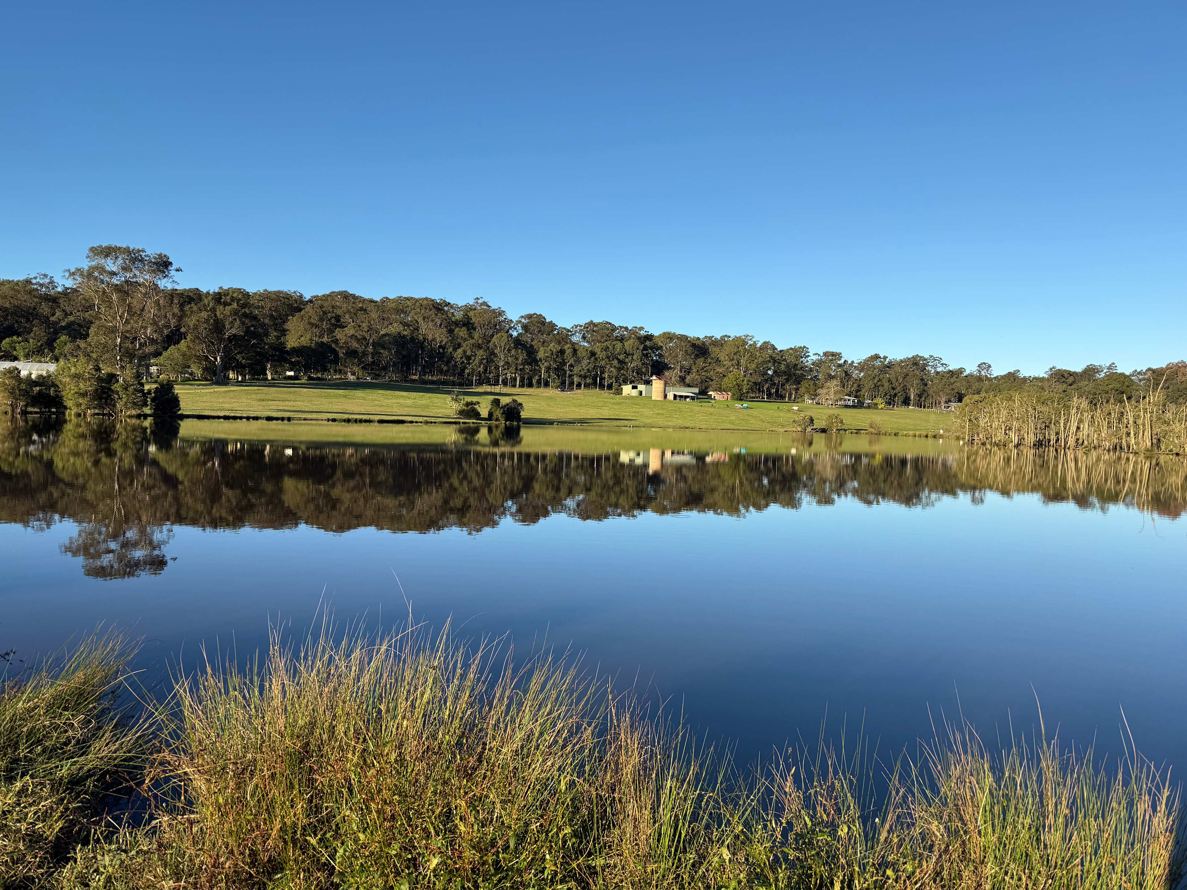 Lakestead Farm