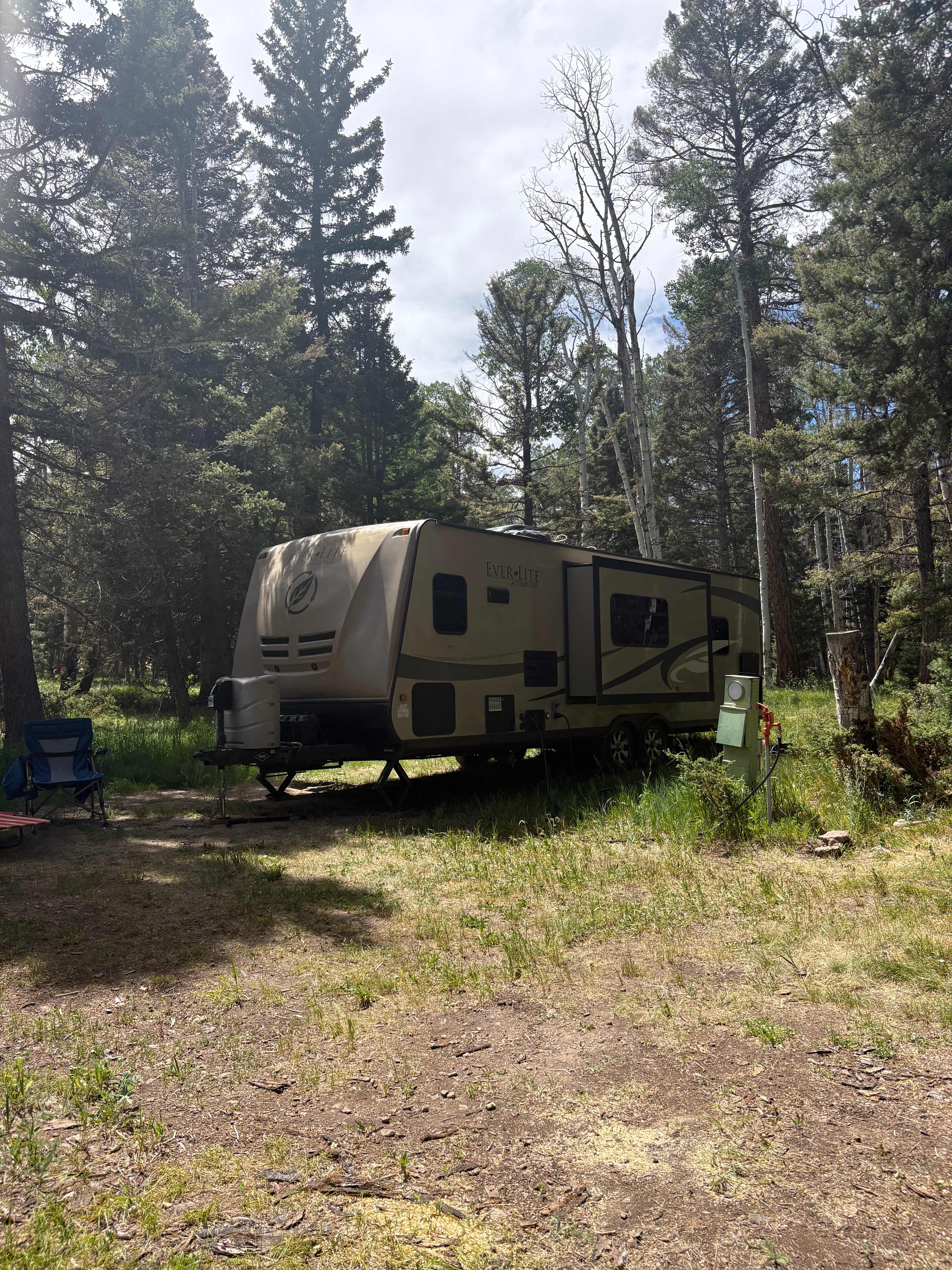 Balsam Bliss