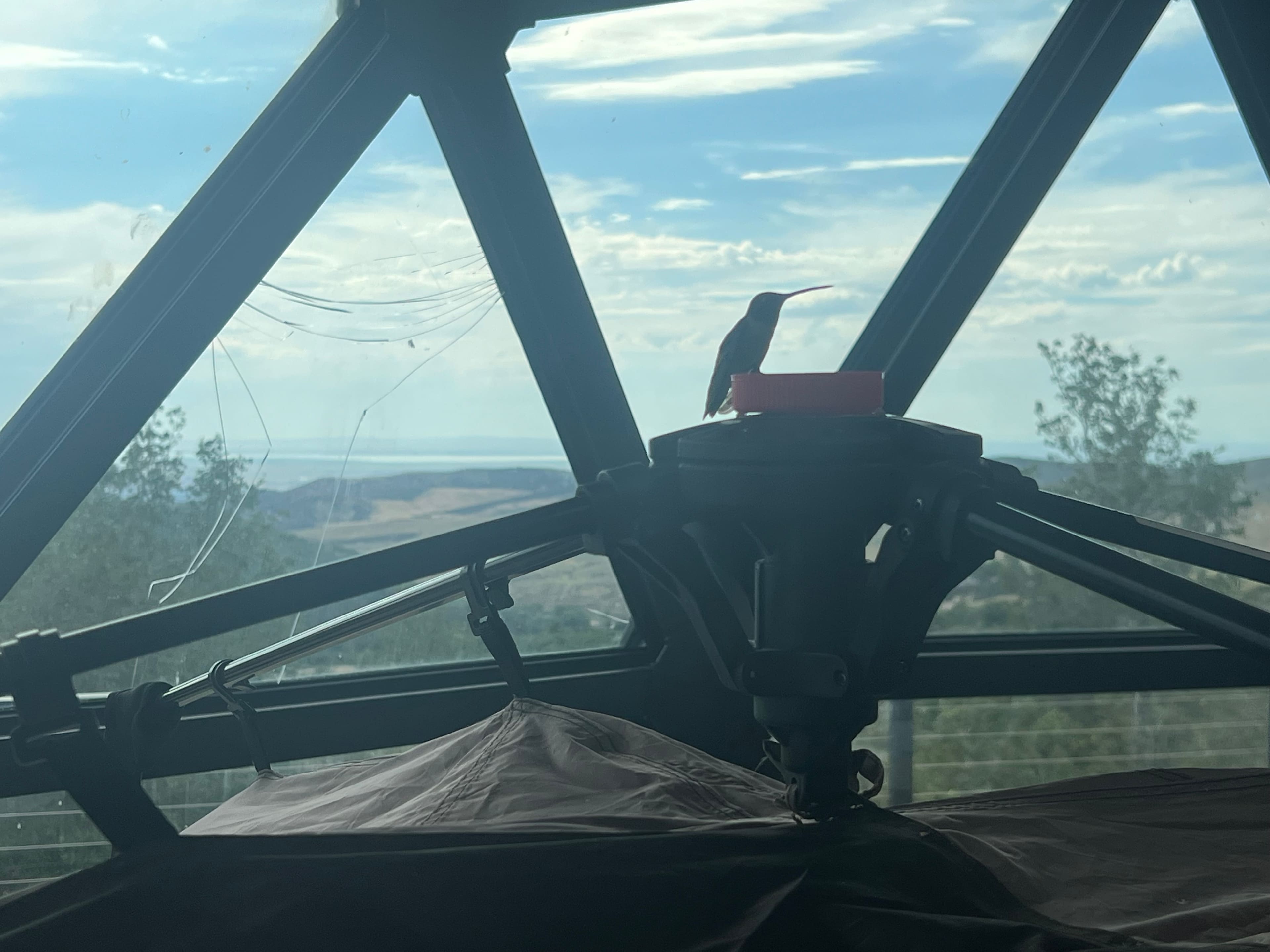 Moonlight Mine Acres