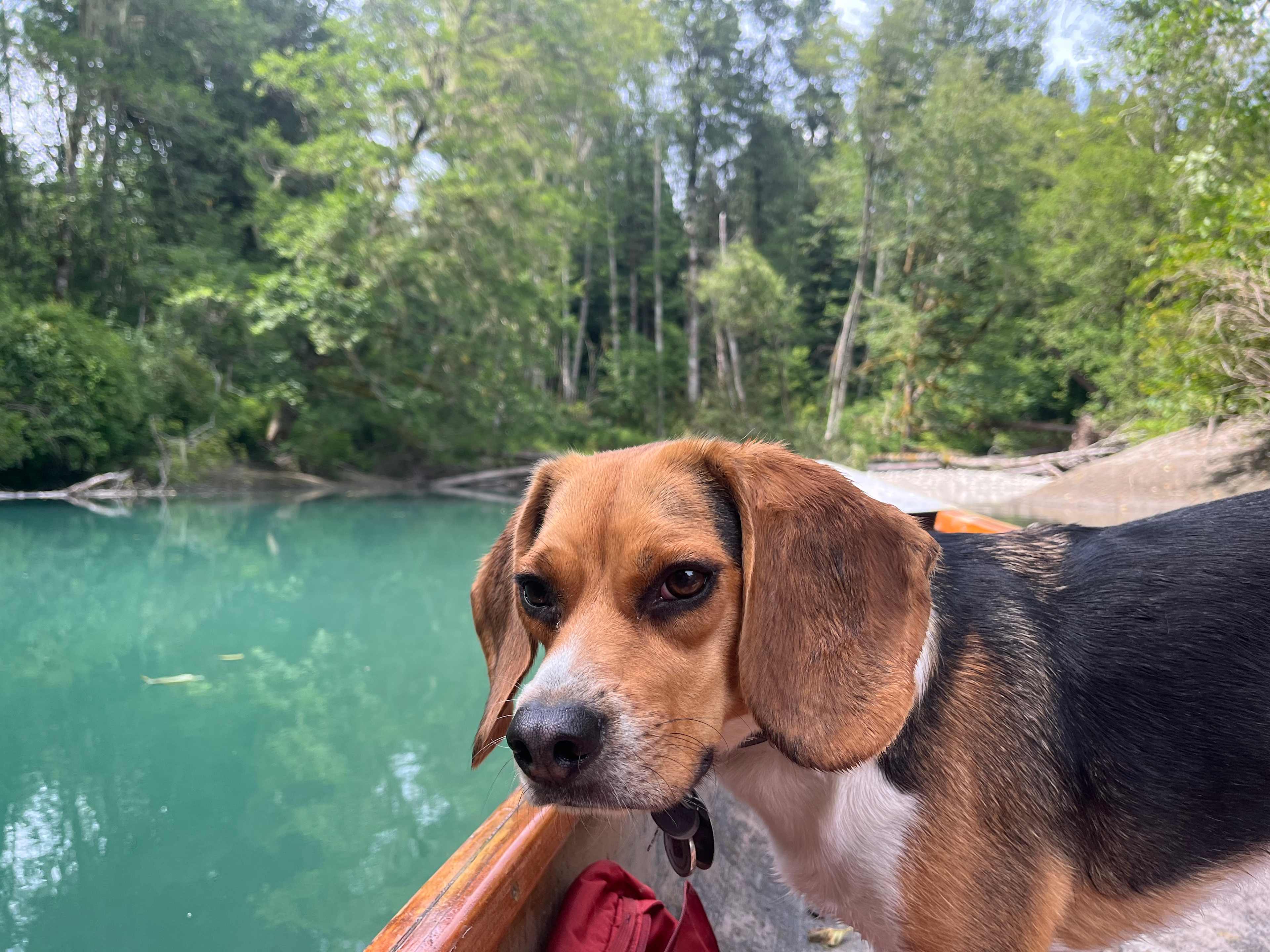 Out on the canoe 