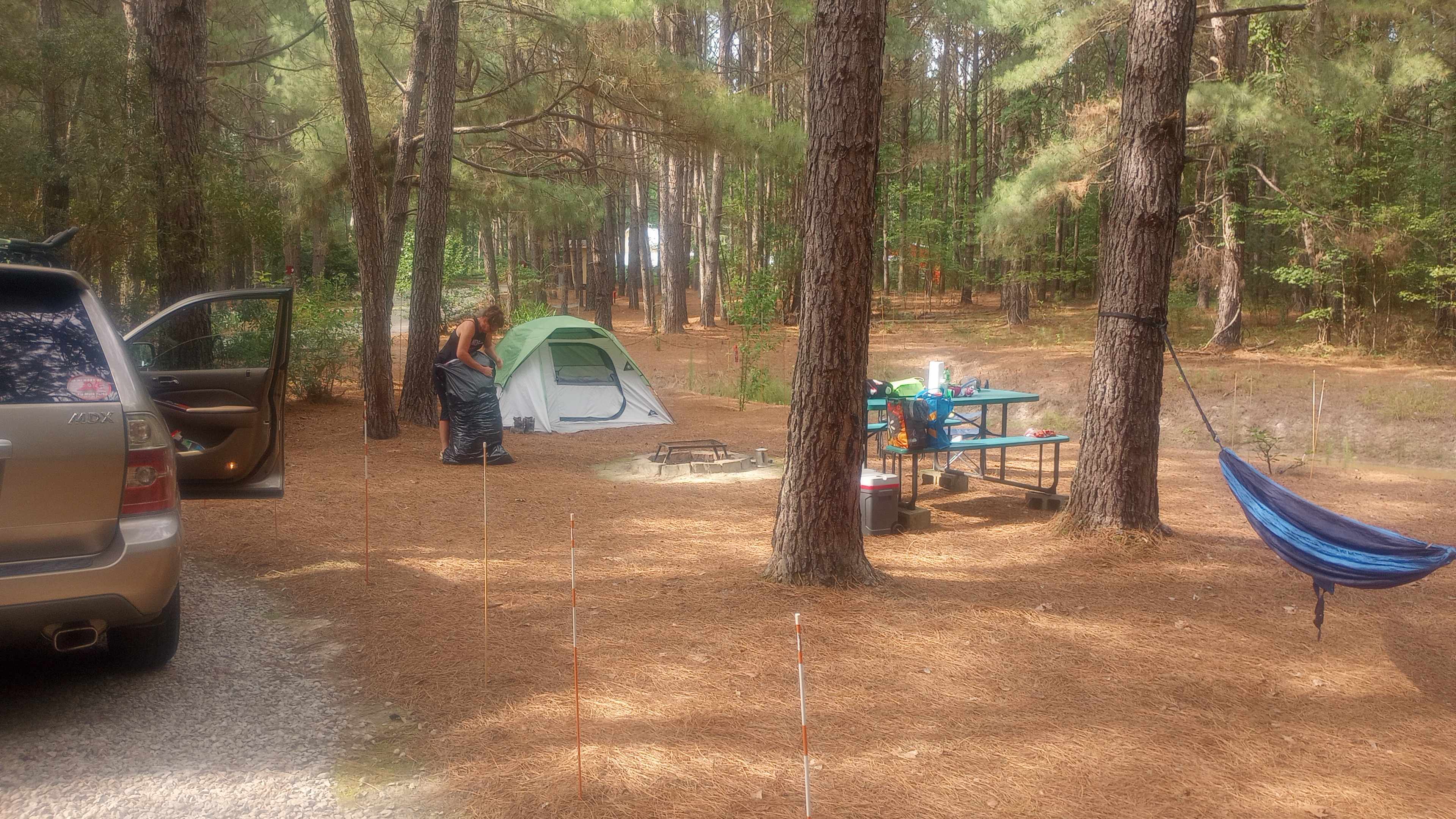 Site 8