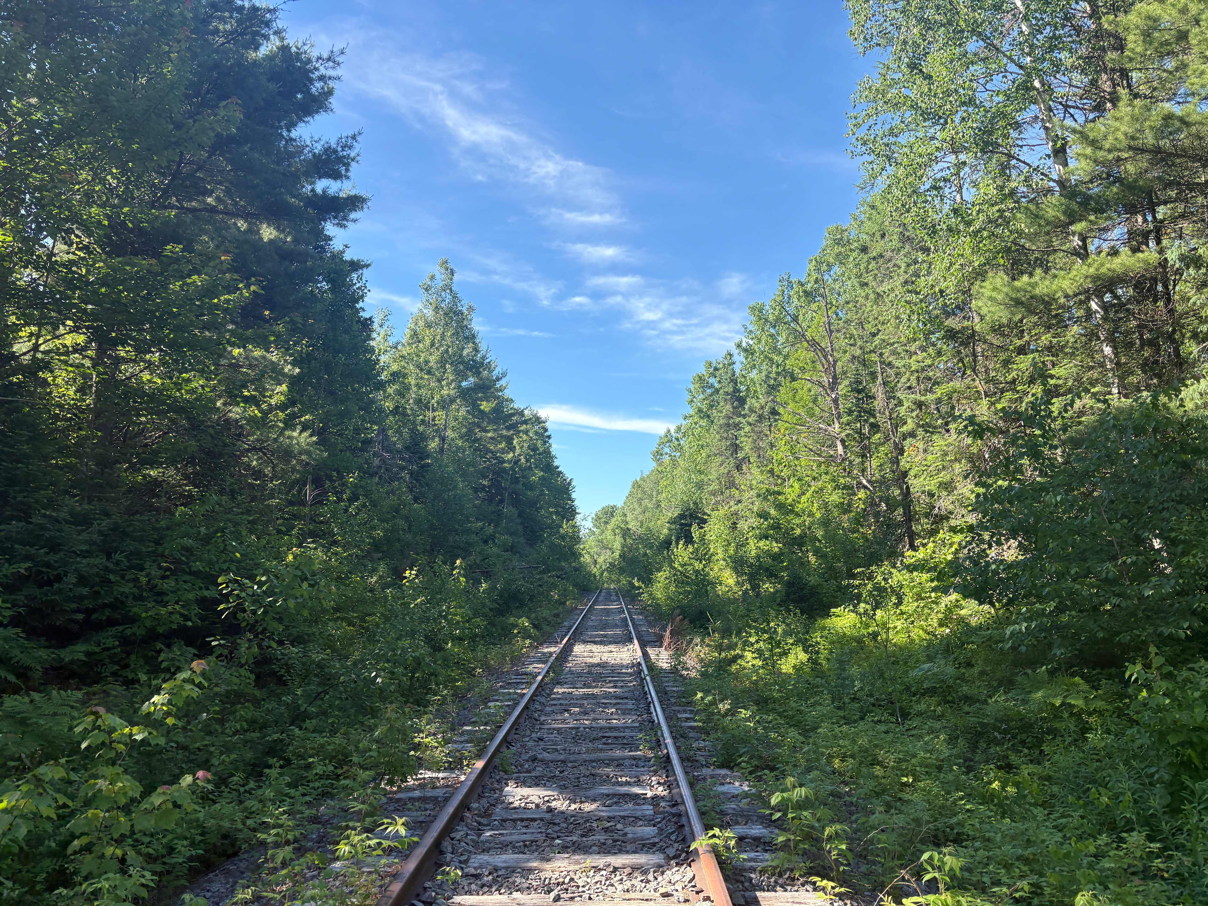 Bad River Wilderness