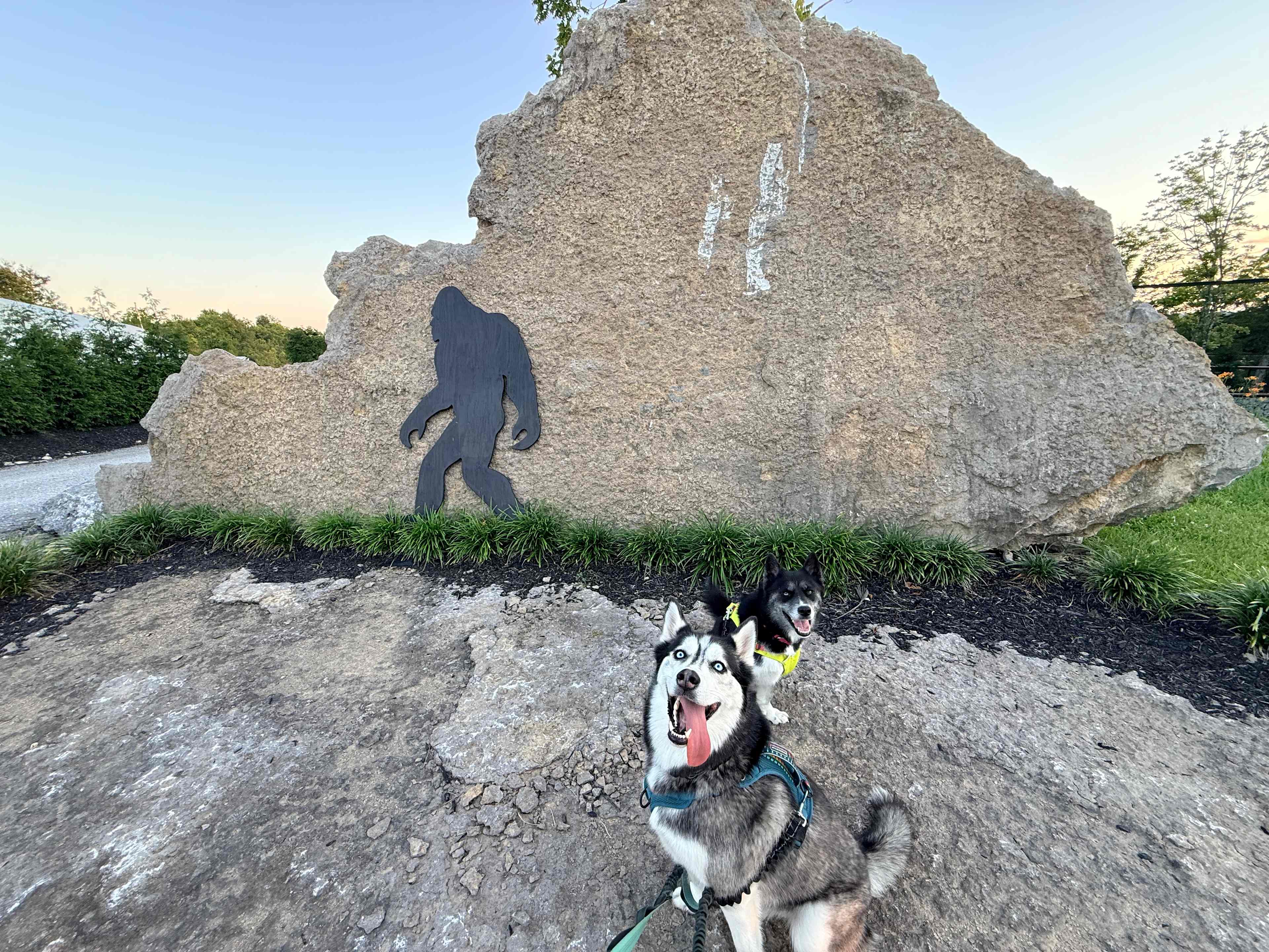 Picture of the site