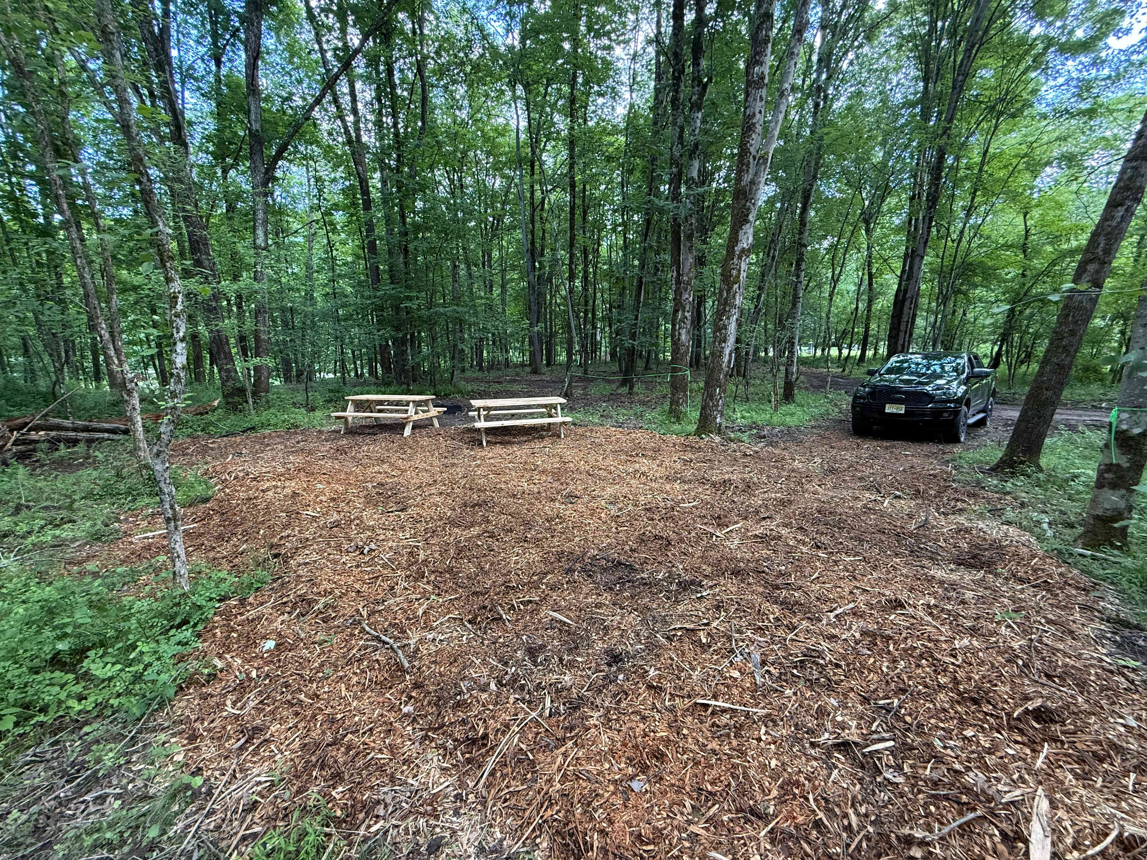 Picture of the site