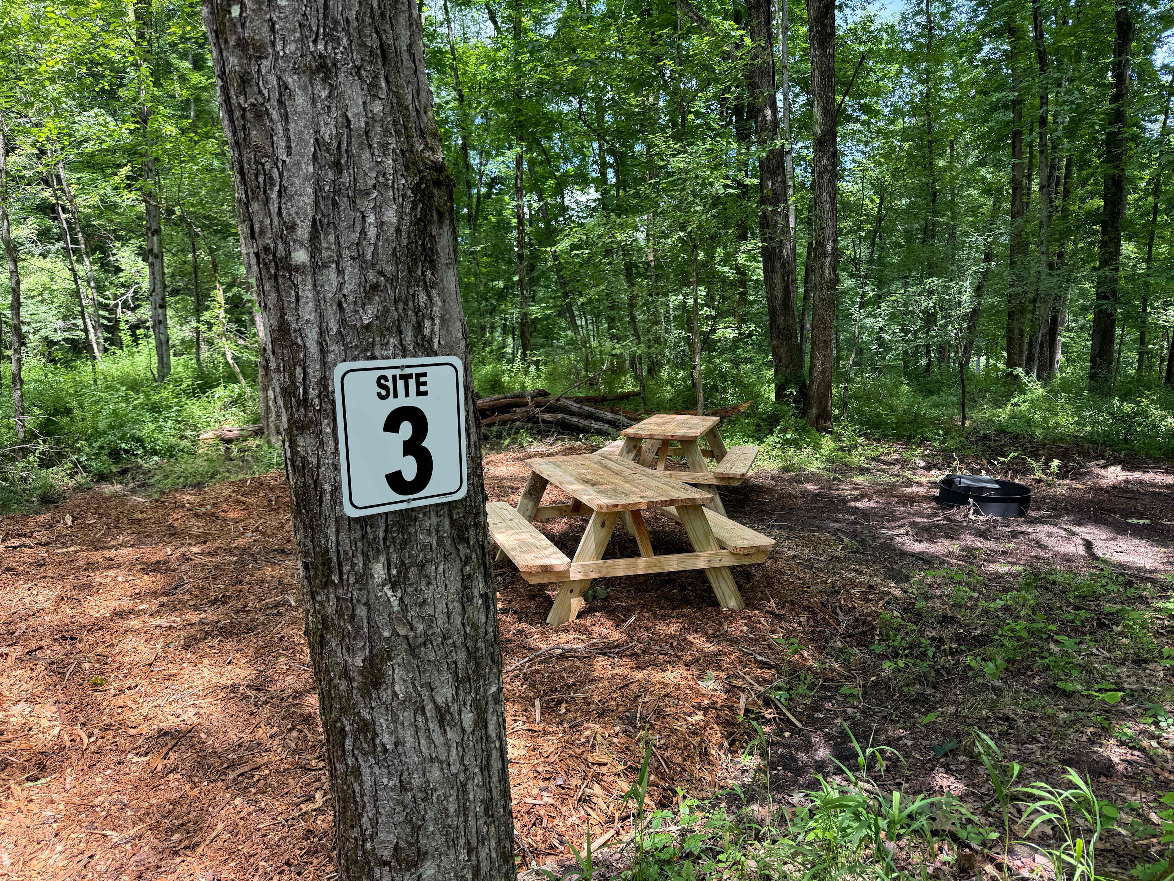 Picture of the site