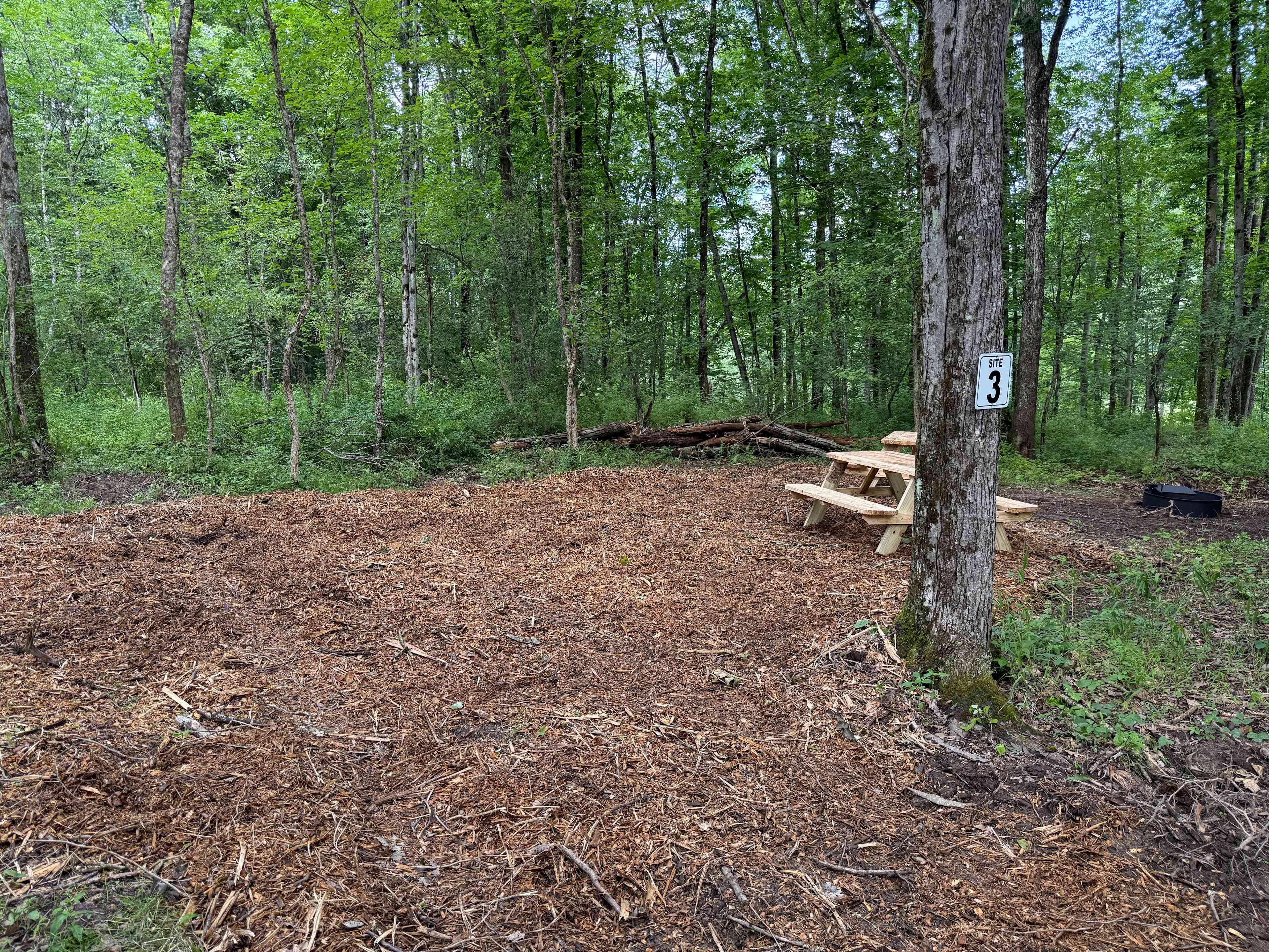 Picture of the site