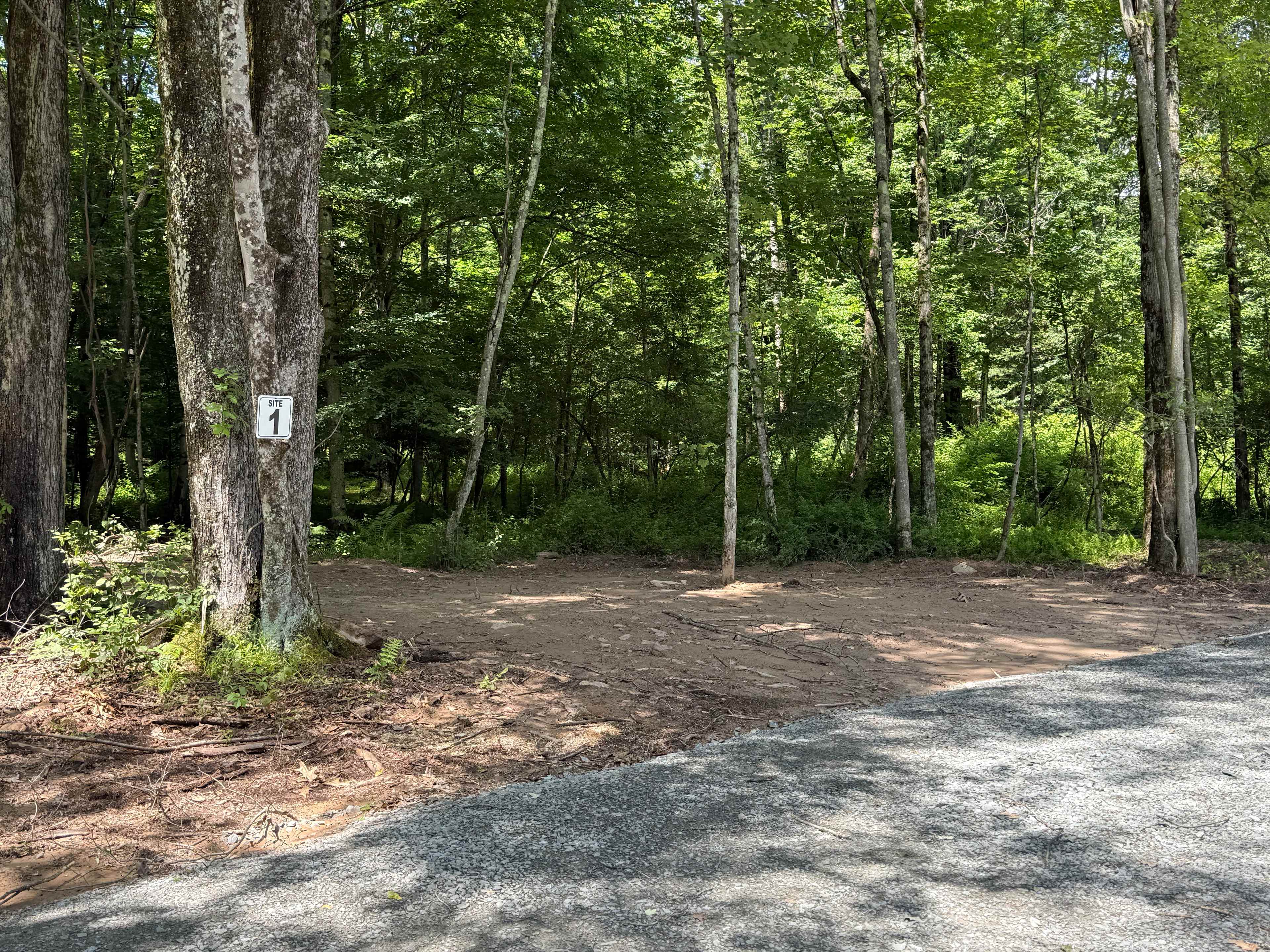Picture of the site