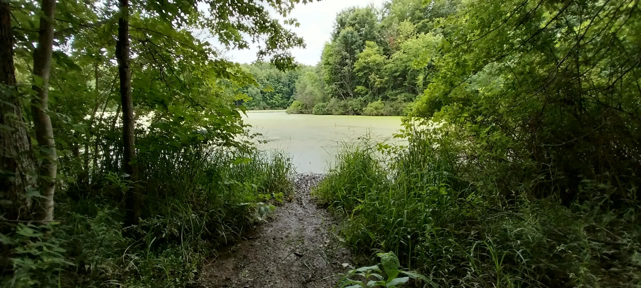The Lake at the Flying J Farm