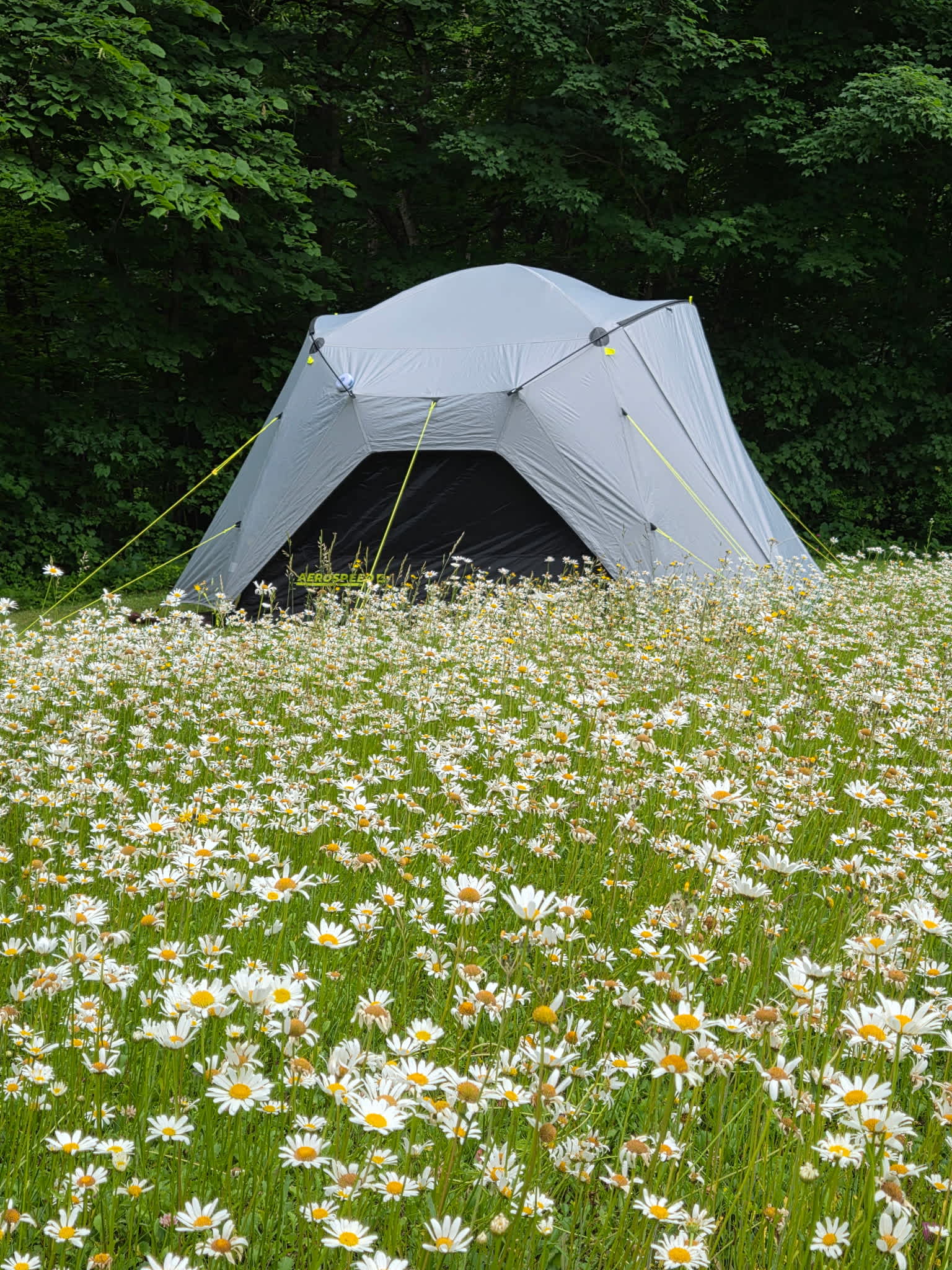 The field of wildflowers is just one of many pleasant surprises!