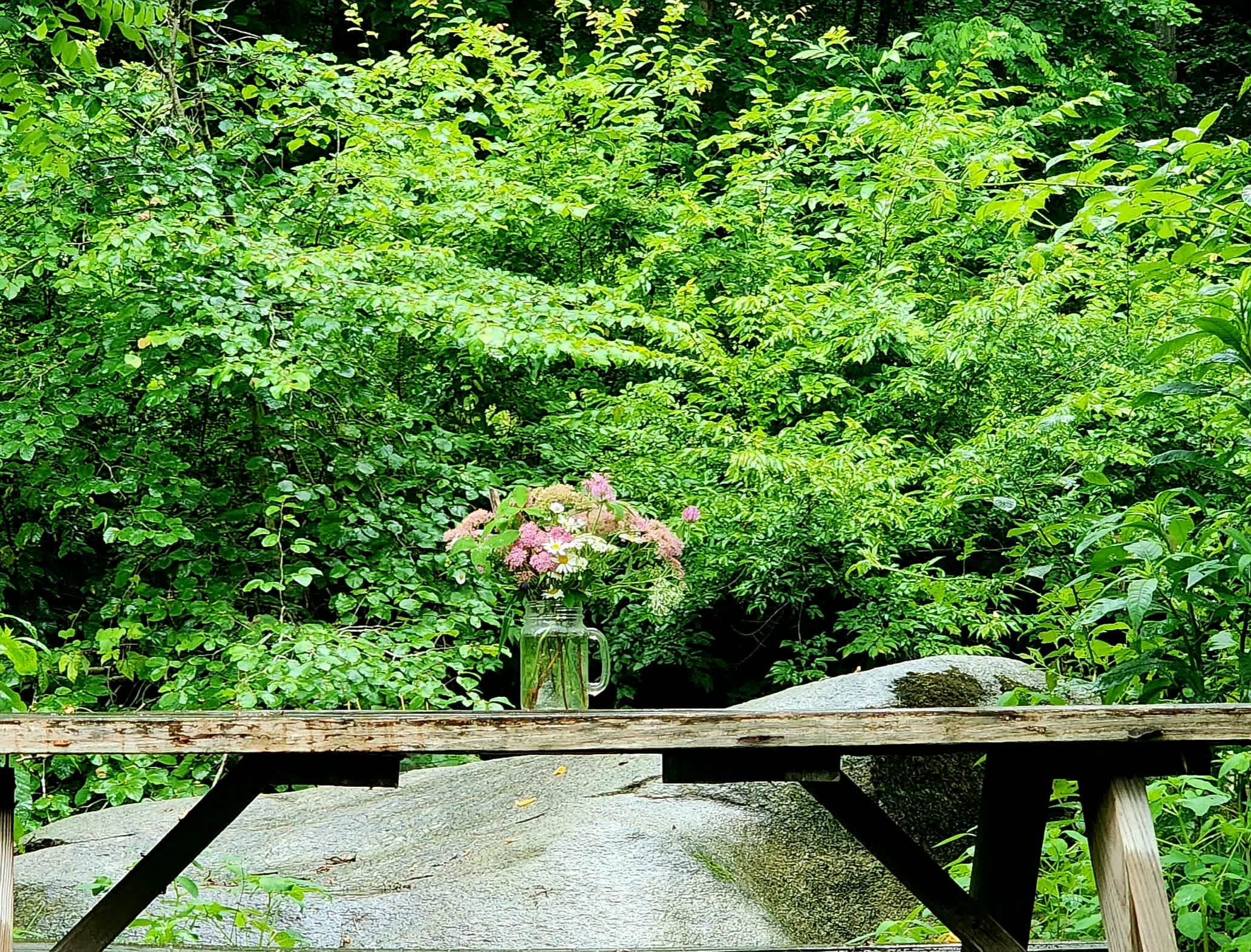 Creek side