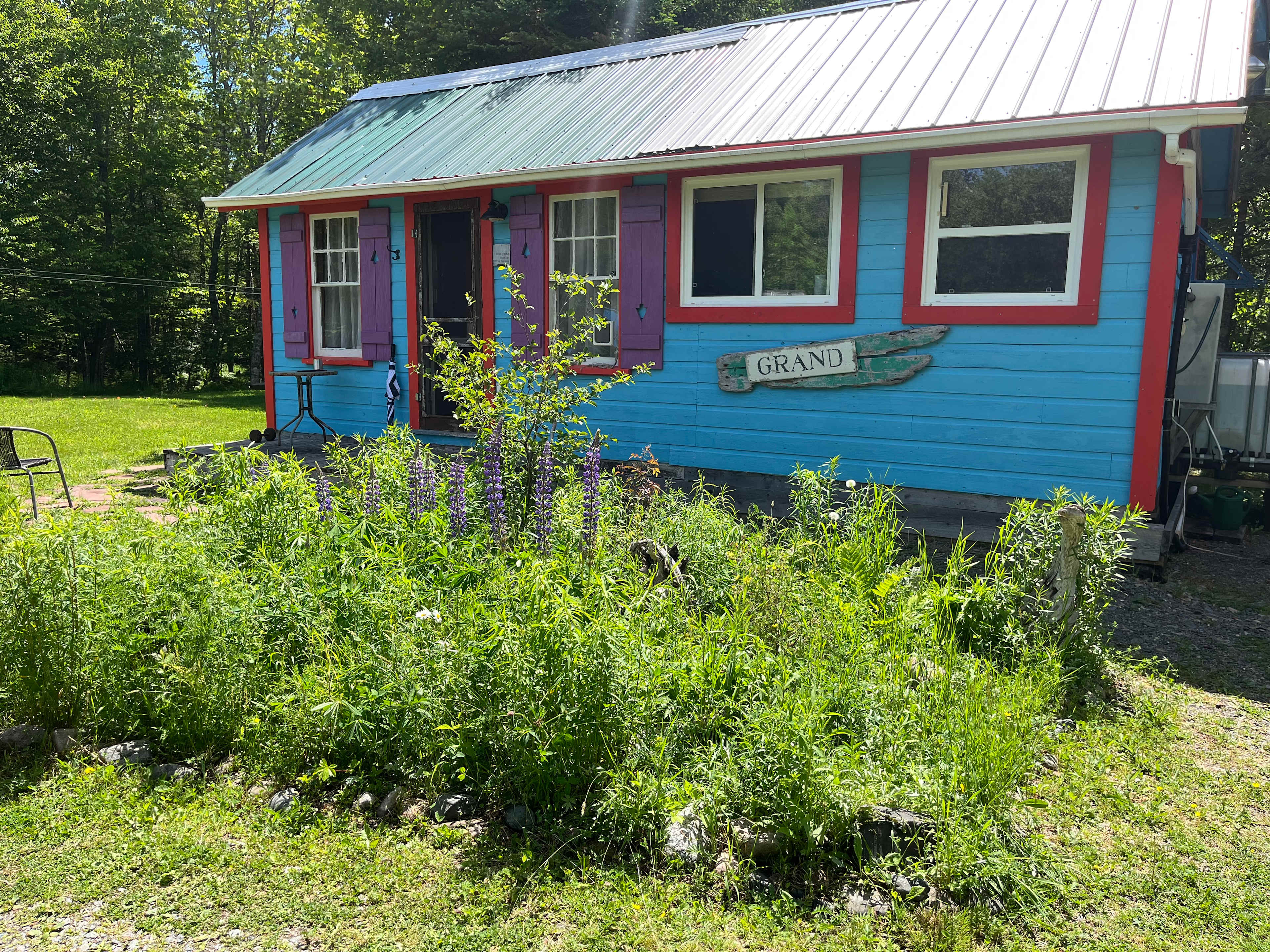 Picture of the site