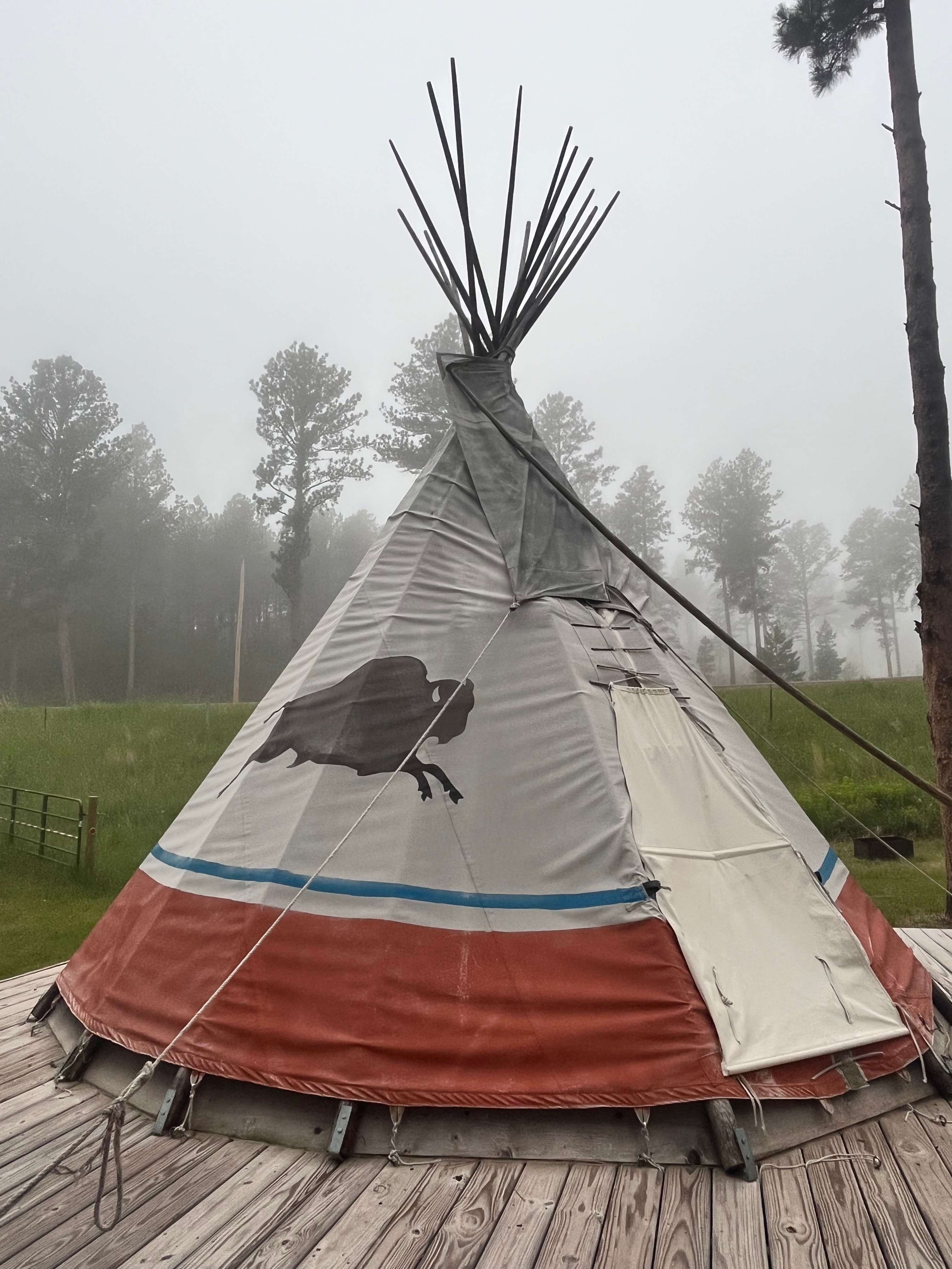 Picture of the site