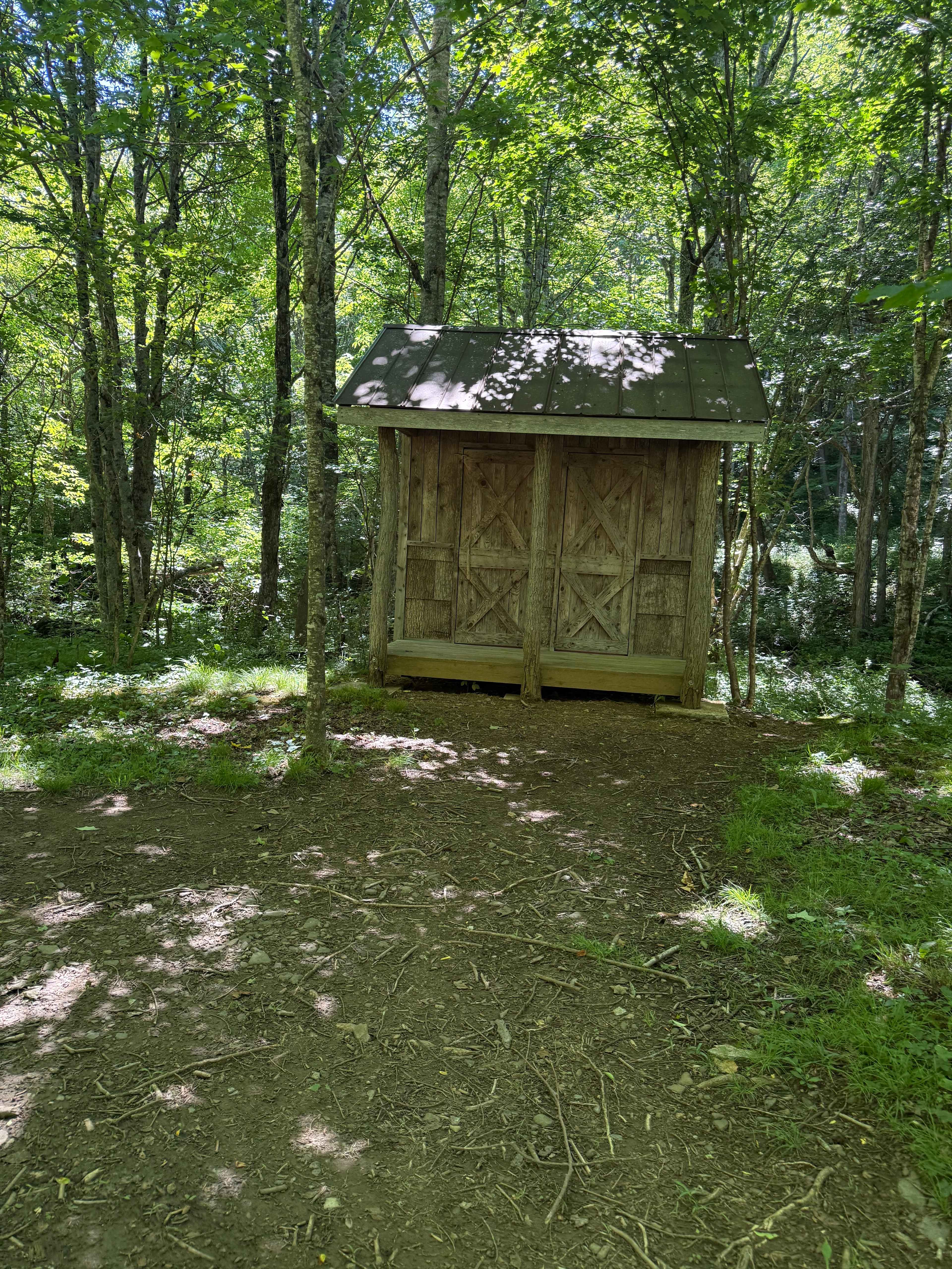 Blue Bear Mountain Camp