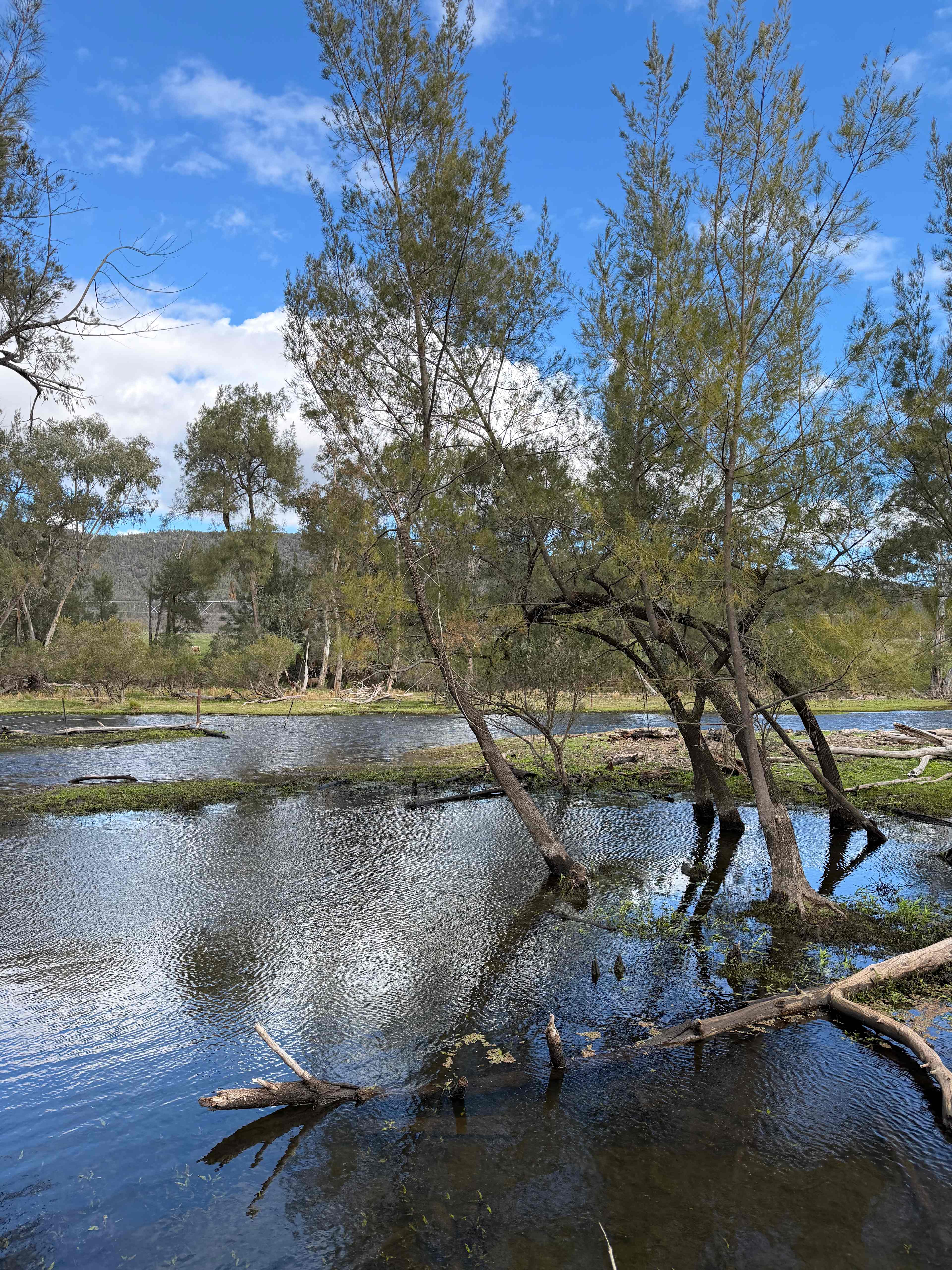 ‘Riversdale’