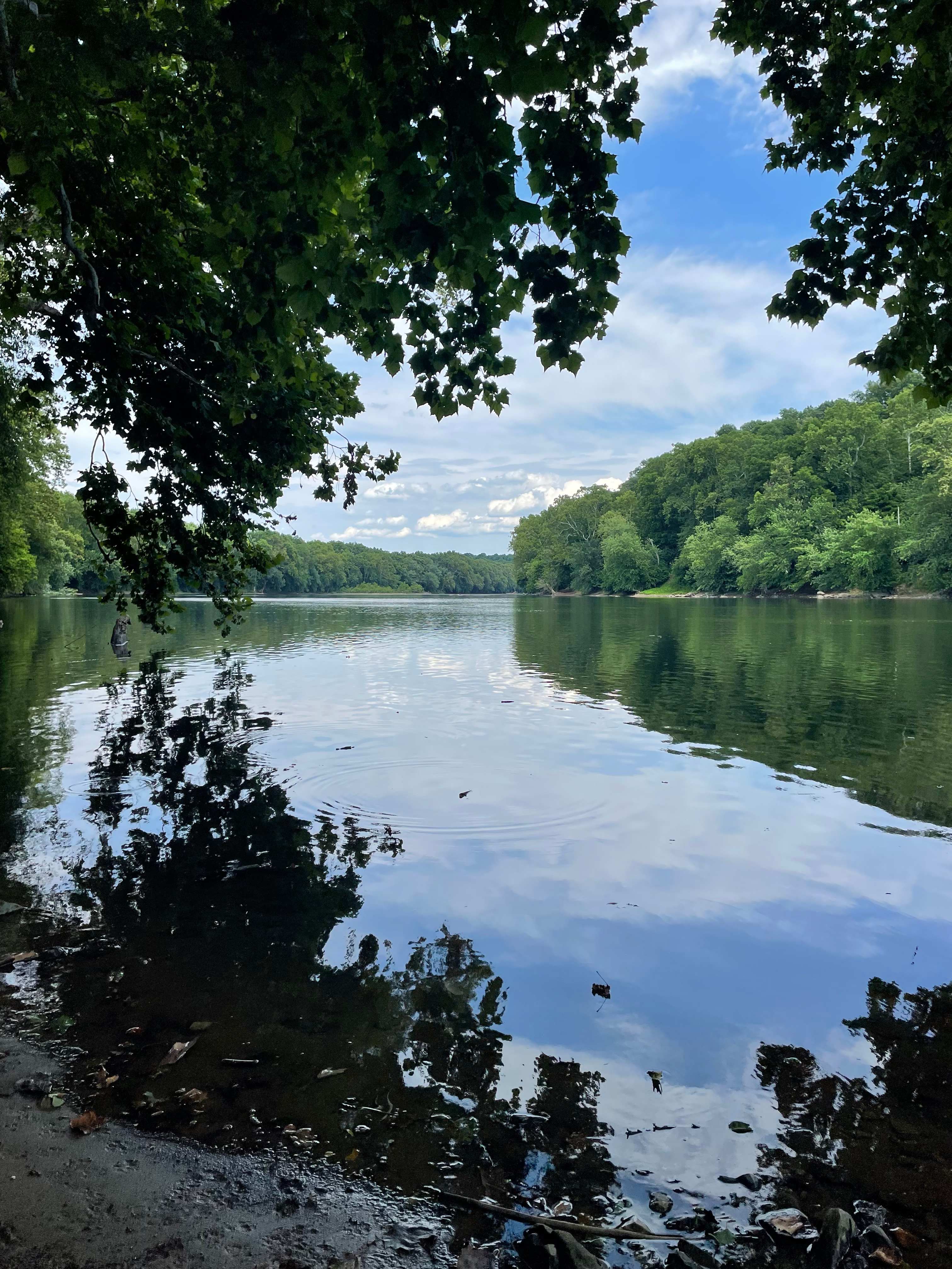 Taylors Landing Camping Club
