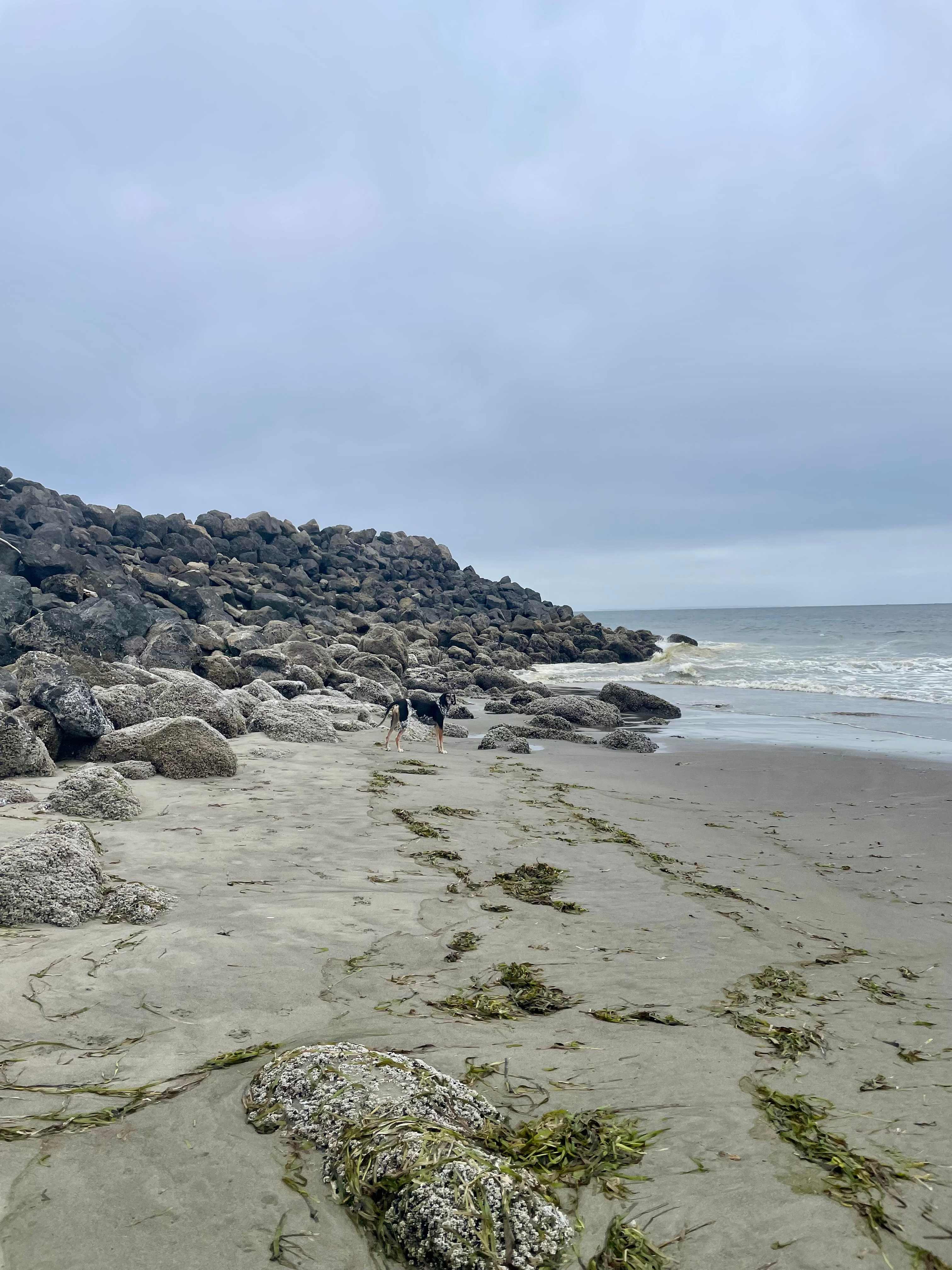 Jetty at the end of the beach 