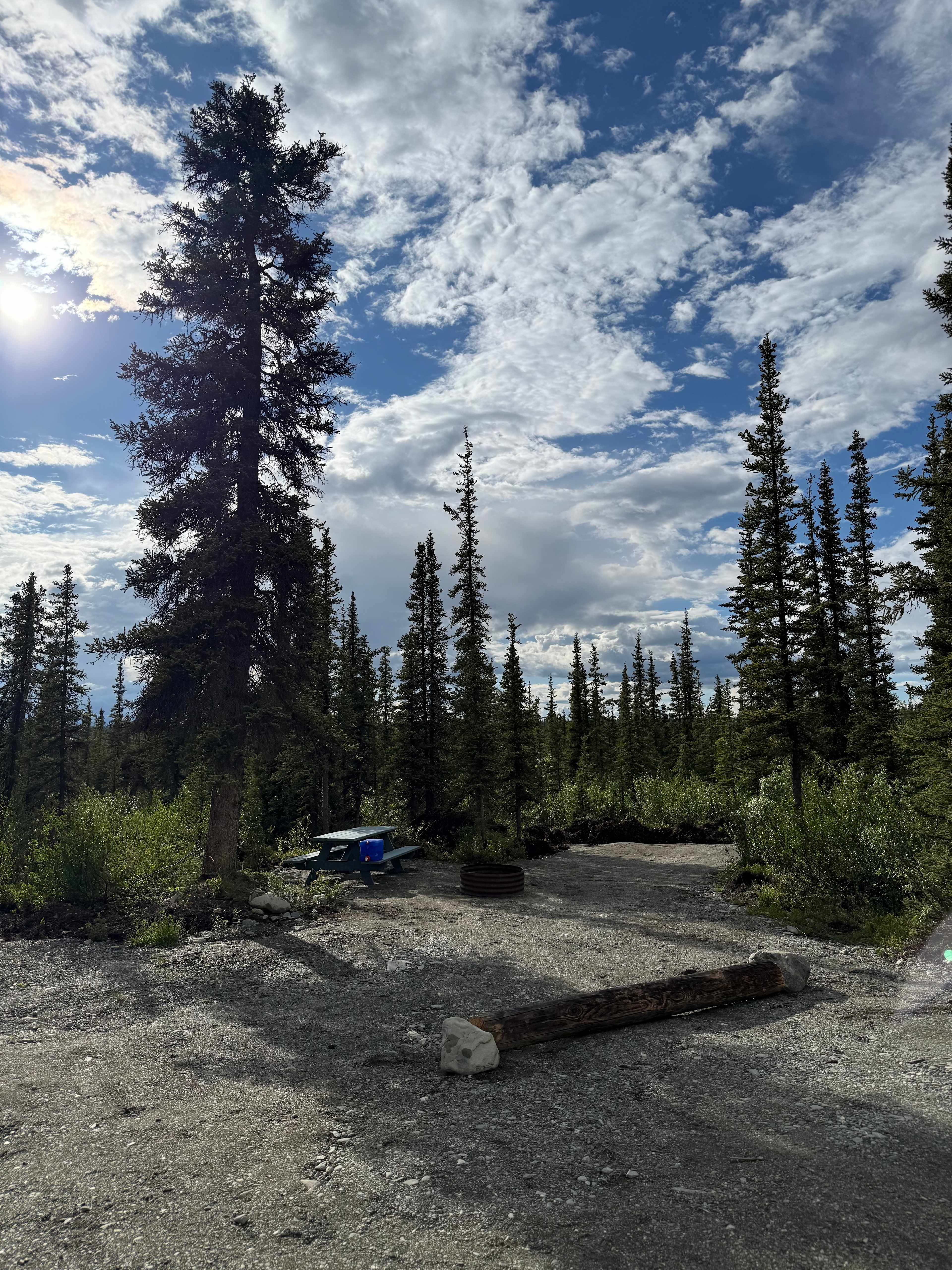 Picture of the site