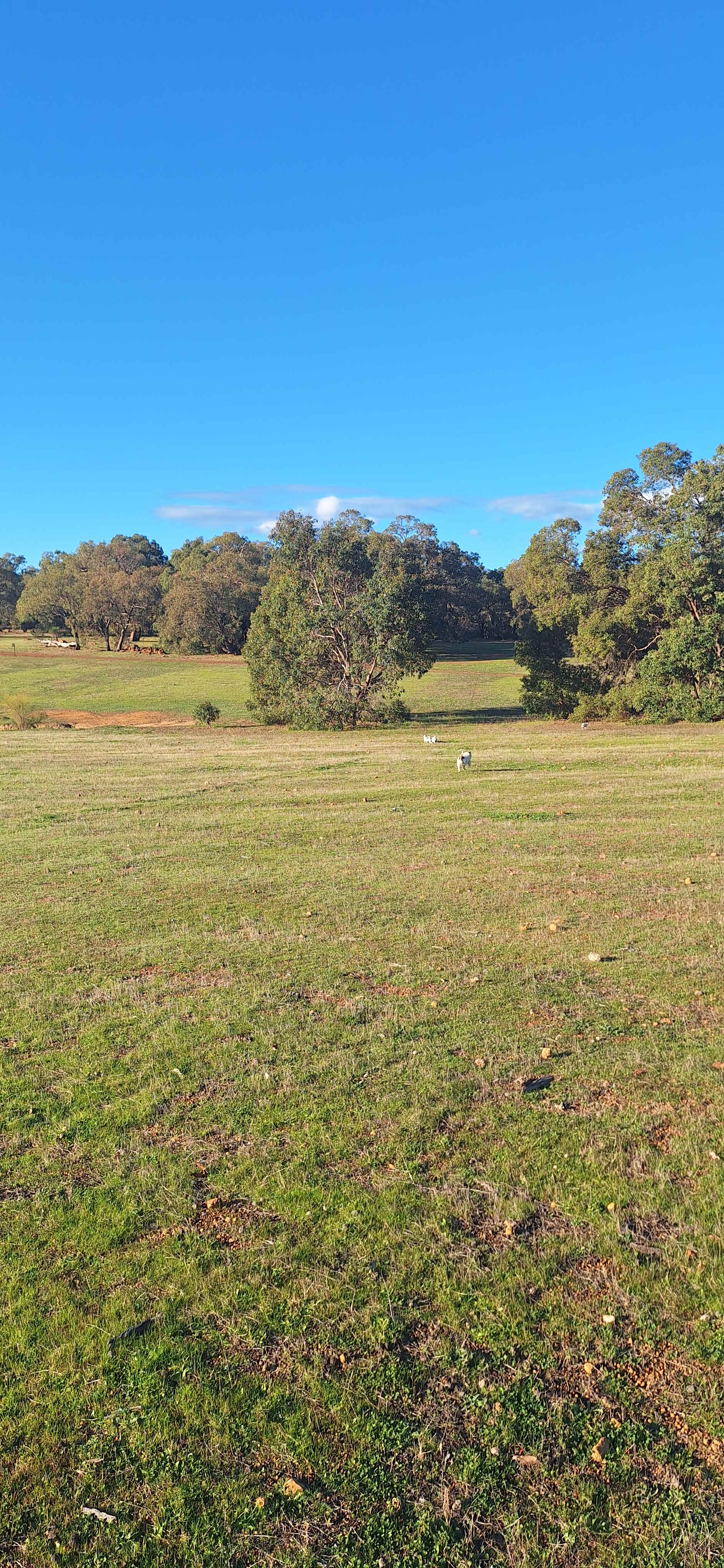 Chittering Acres