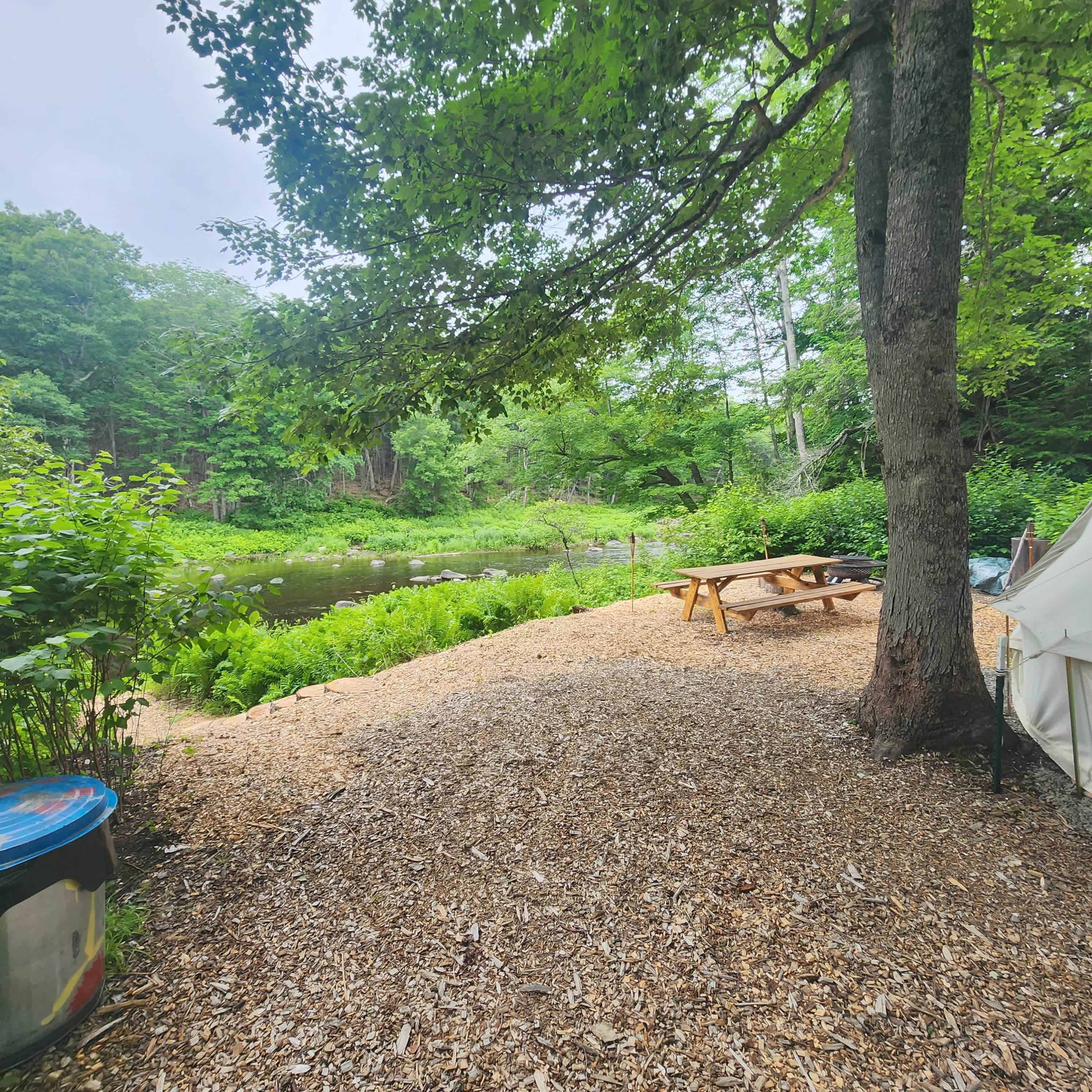 Picture of the site