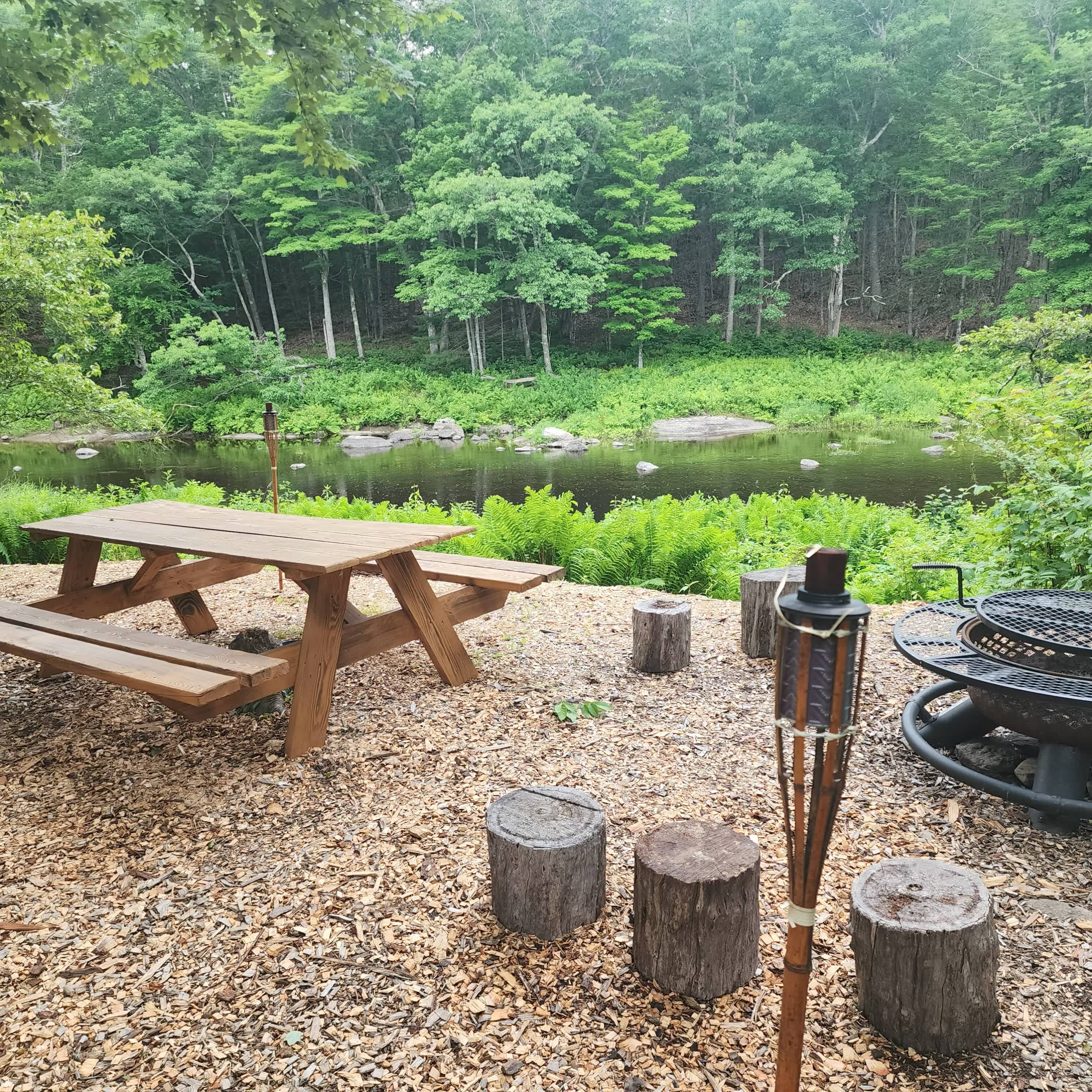 Picture of the site