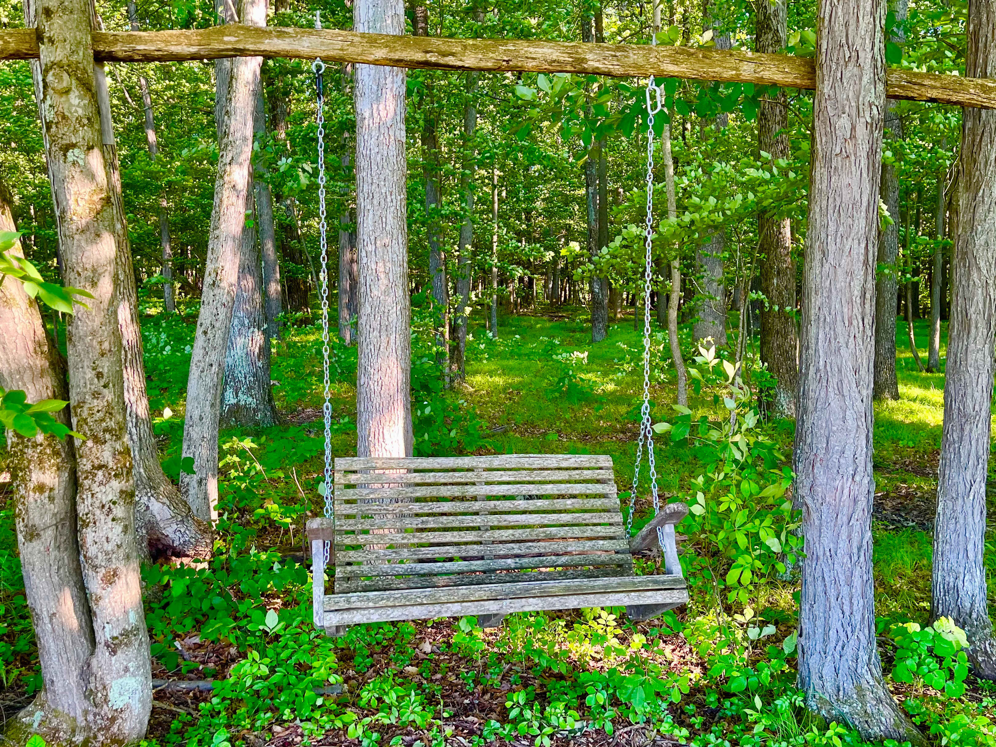 Orchard and Gorge At South Hill