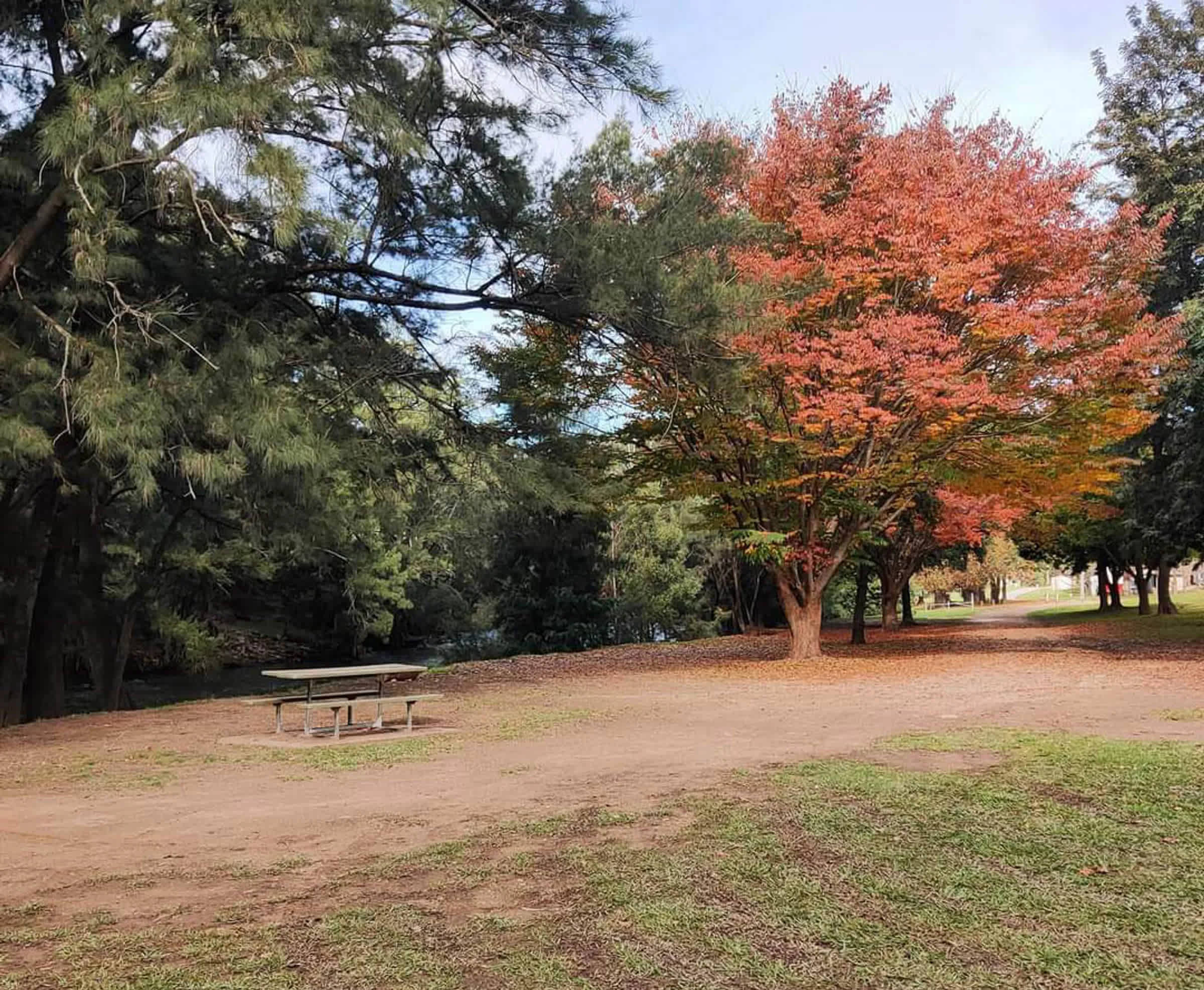 Picture of the site