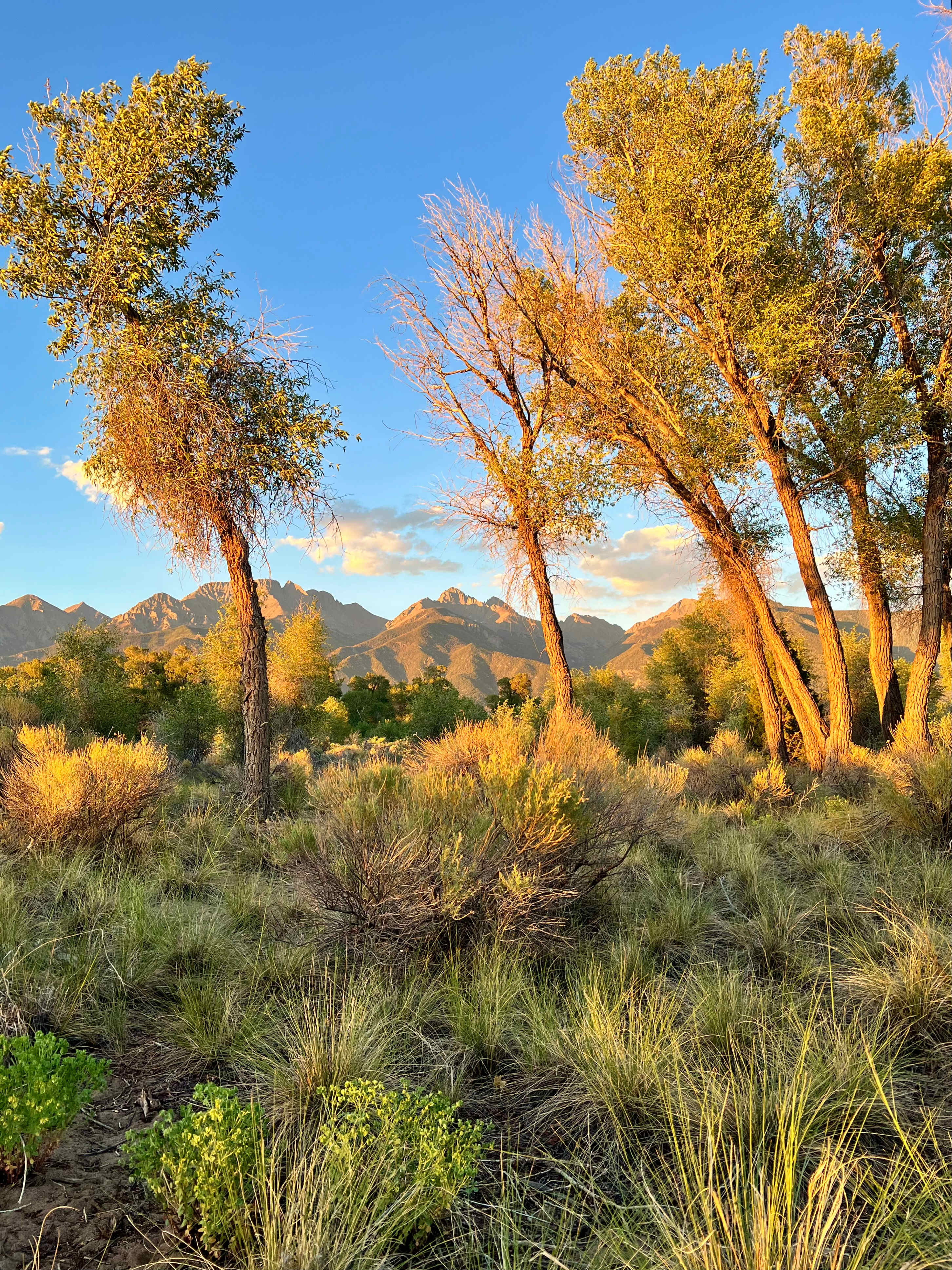 Coyote Mountain, Crestone Open Sky