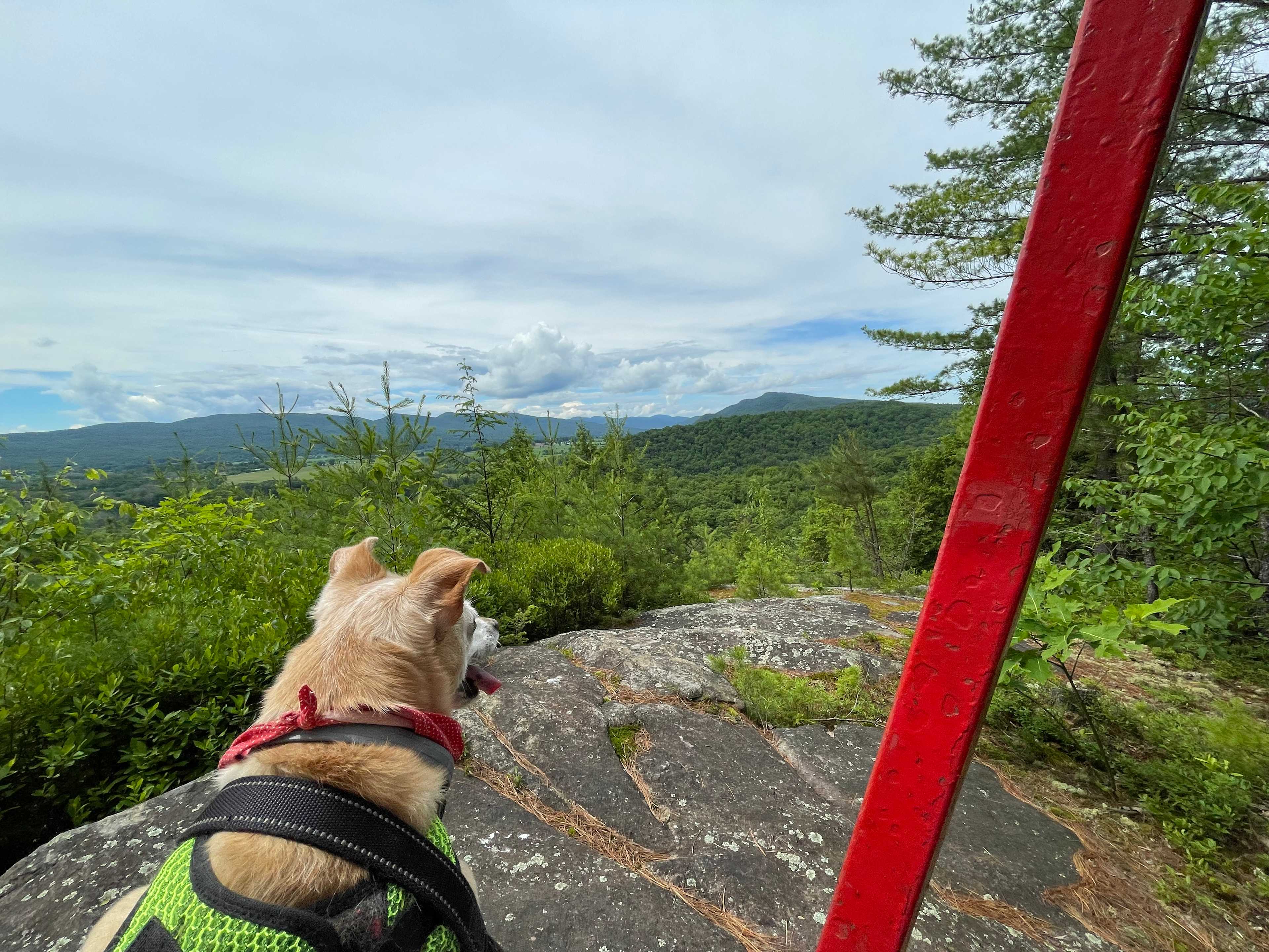 What a view!