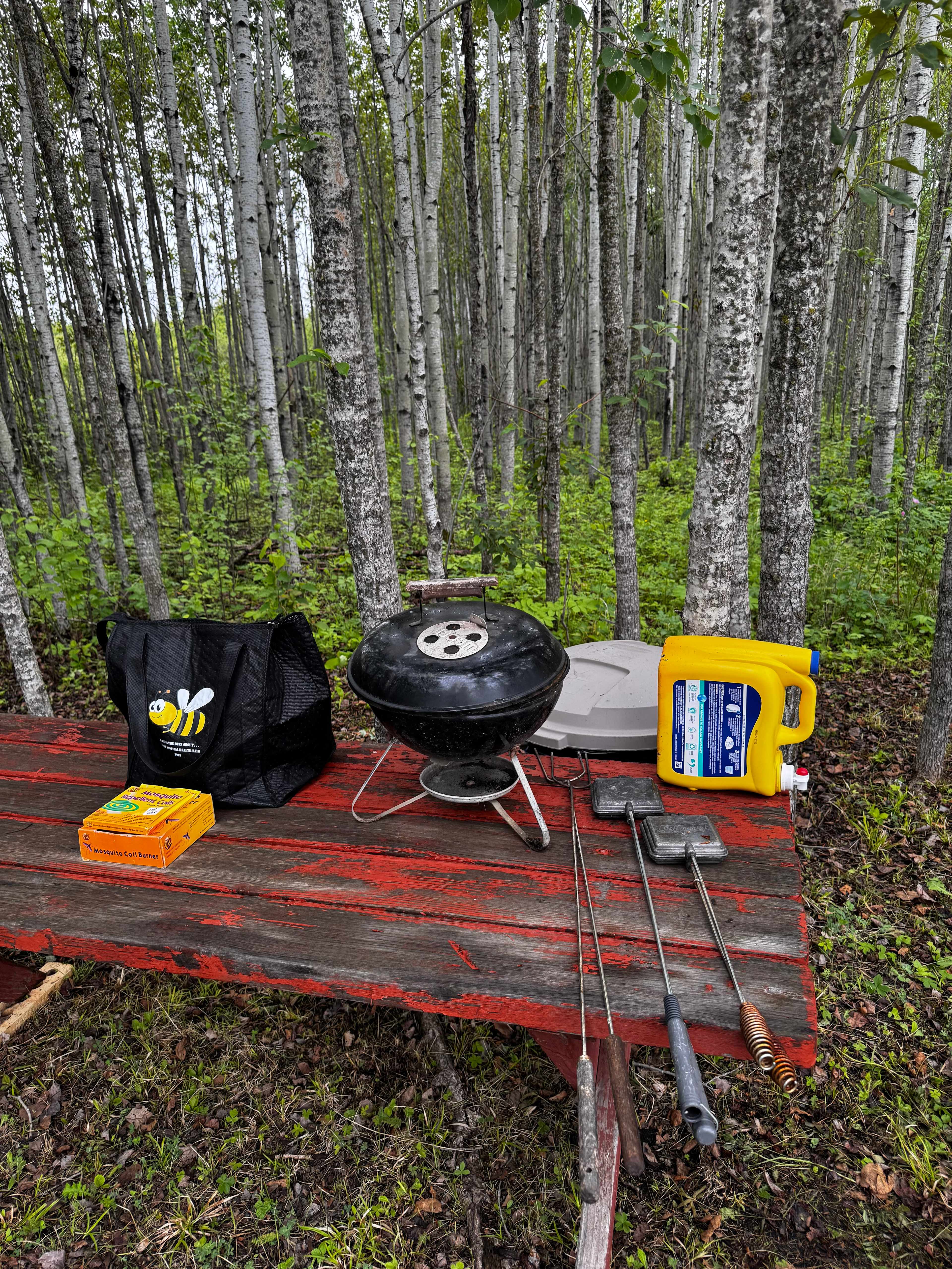 Tent Camping getaway 