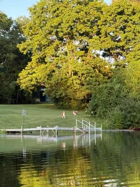 Site 1 lakeside