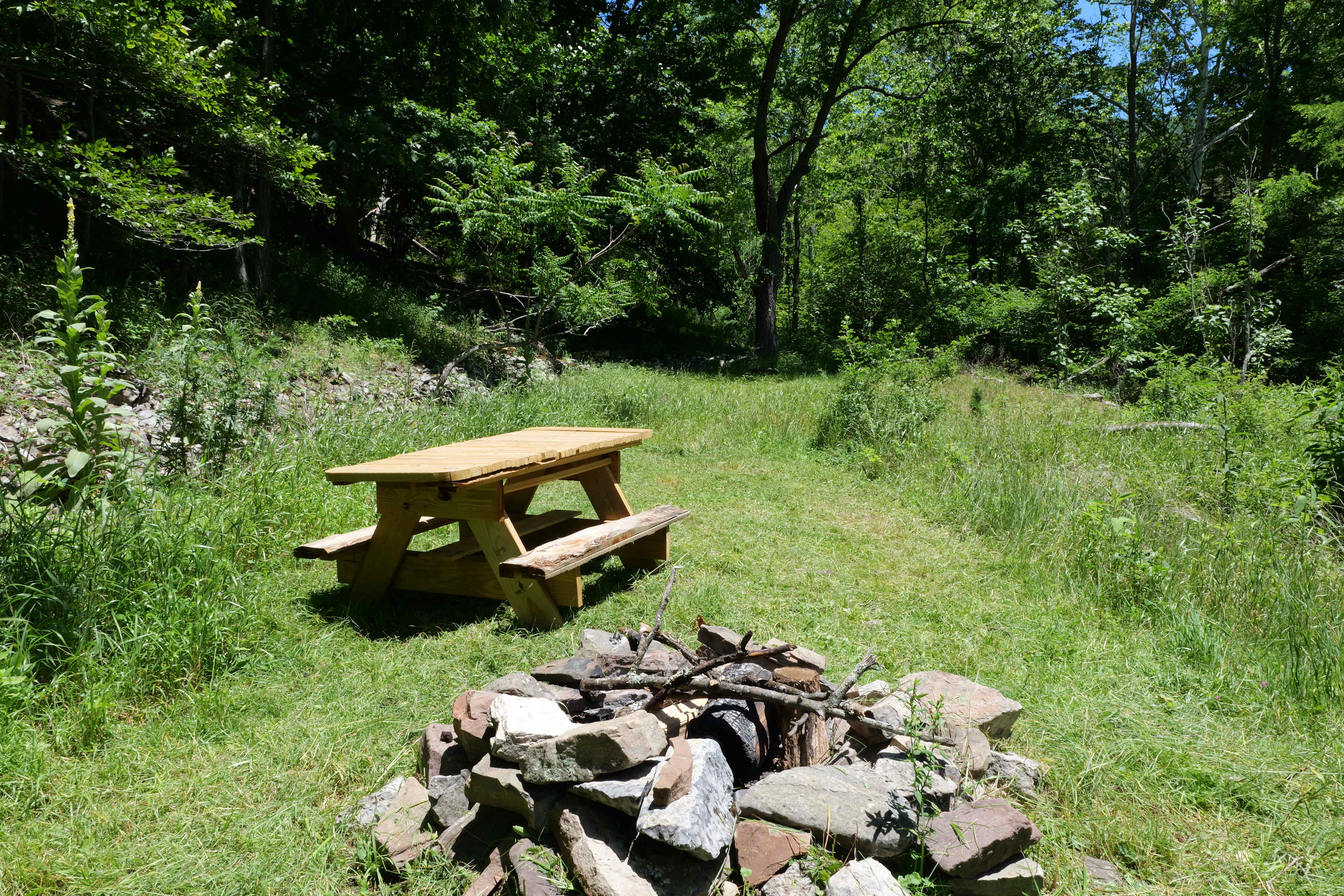 Picture of the site