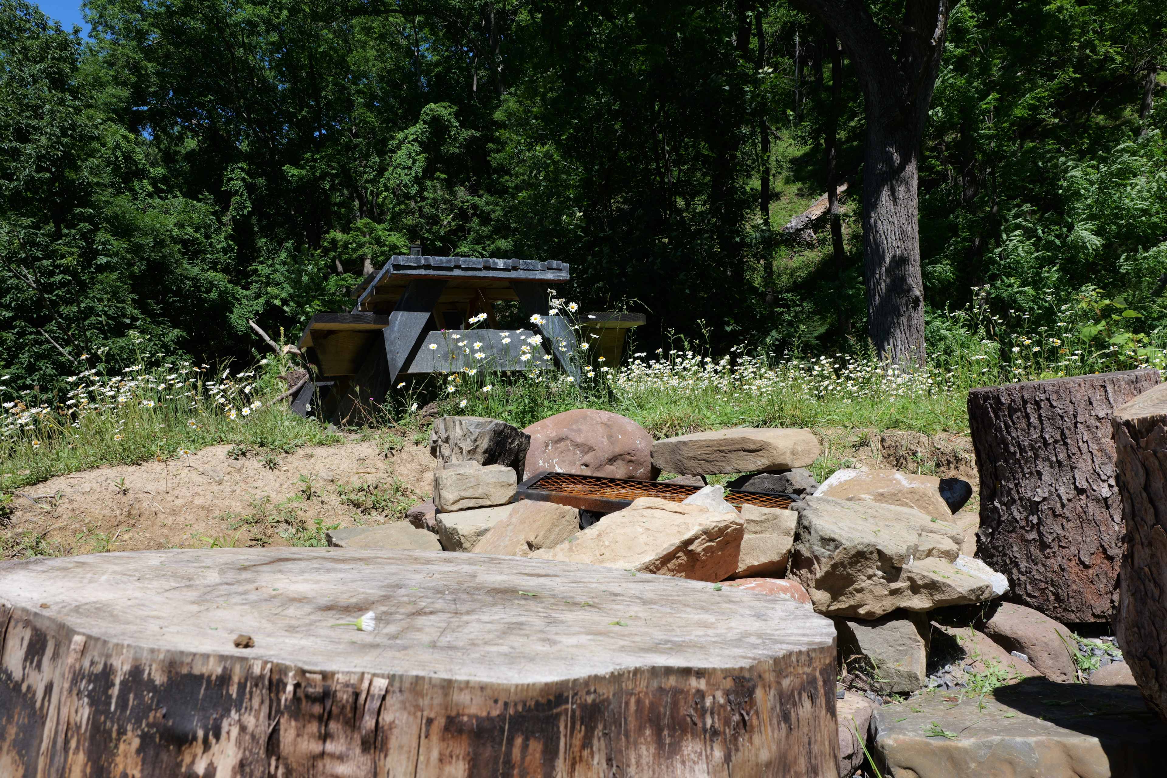 Picture of the site