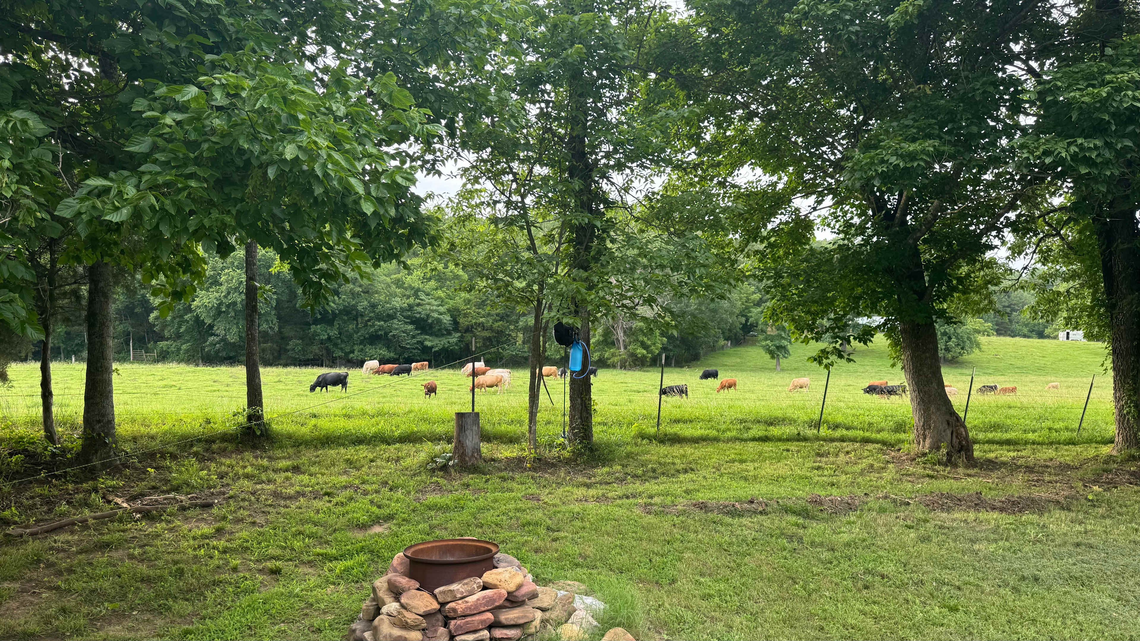 back of campsite 8