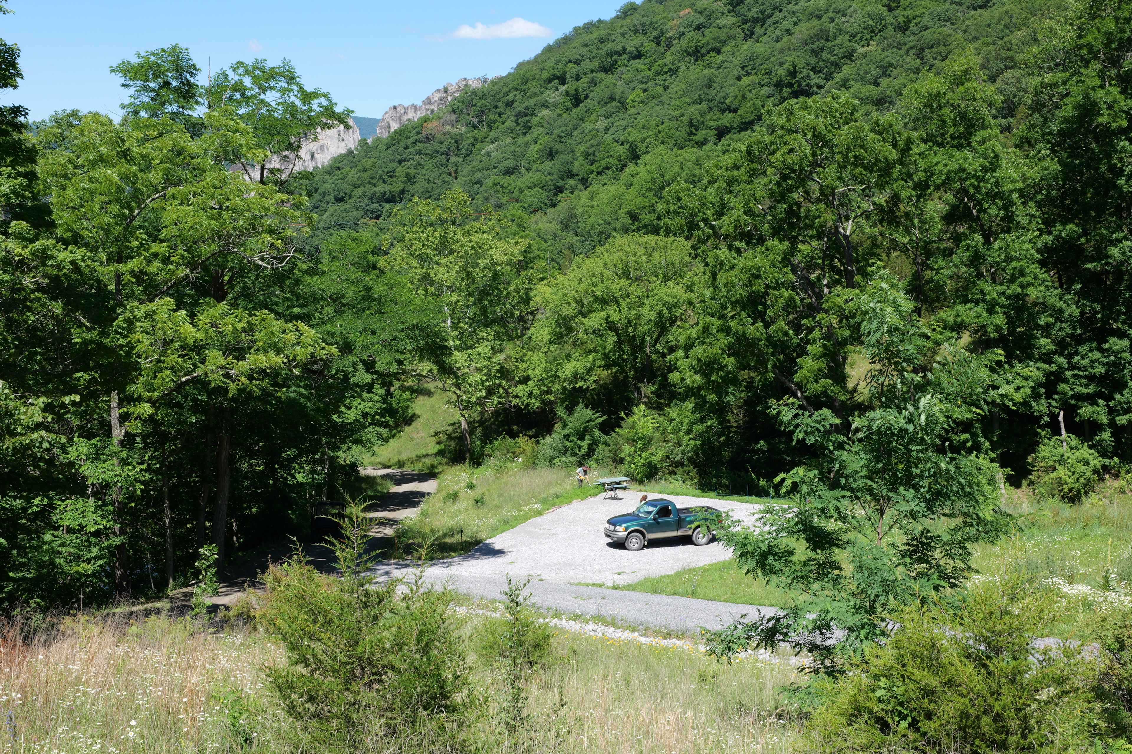 Picture of the site