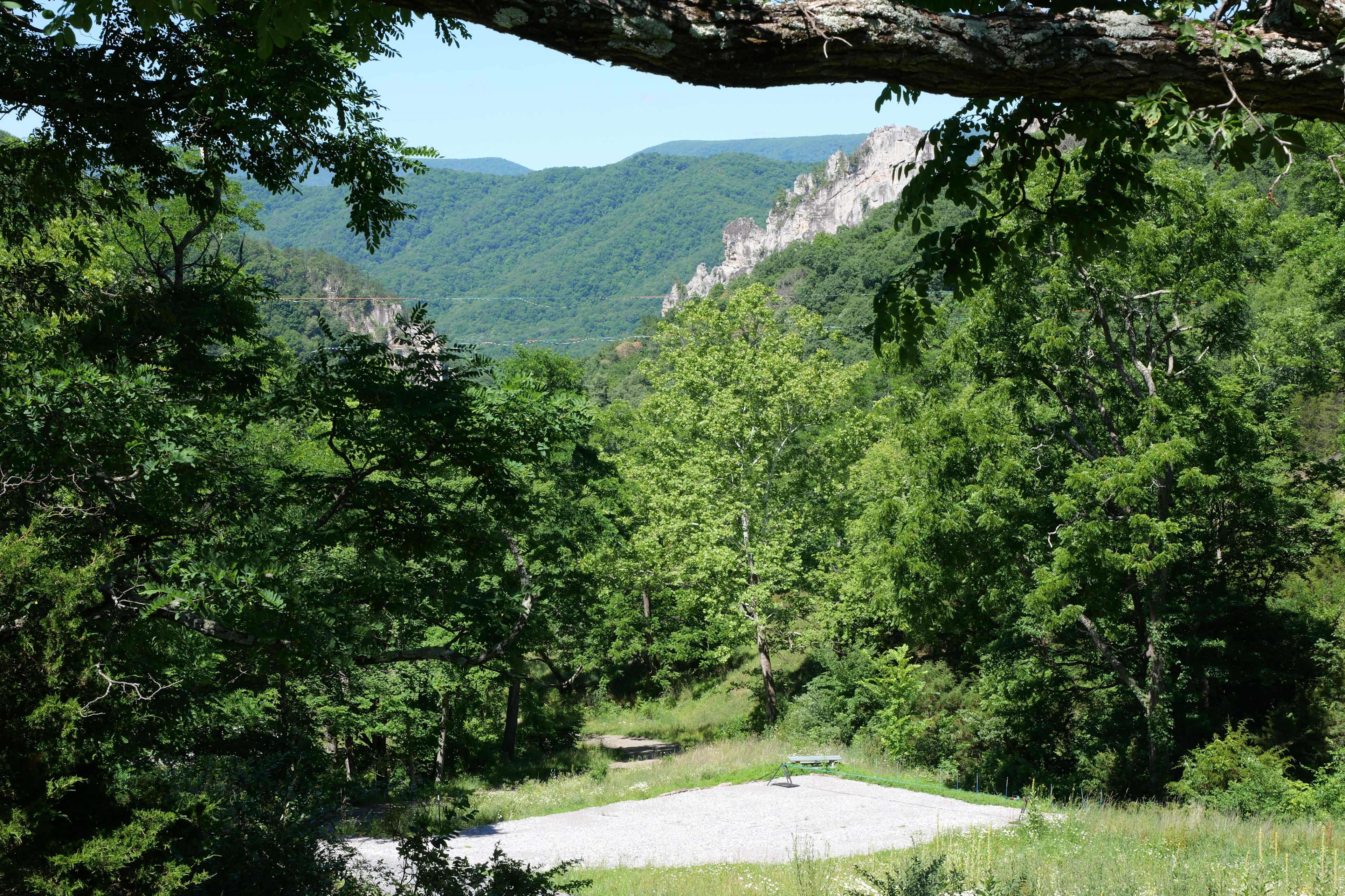 Picture of the site