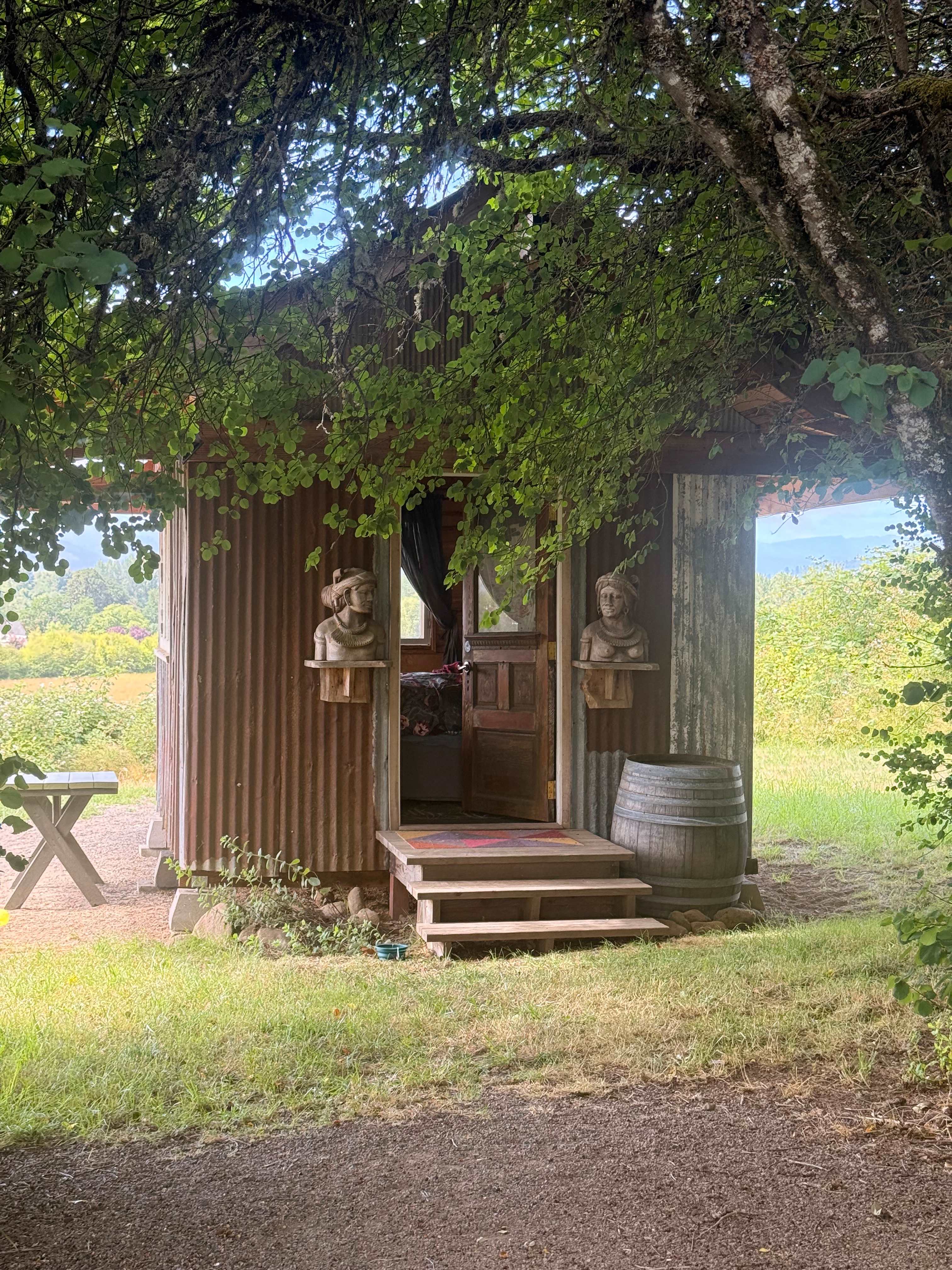 Oasis