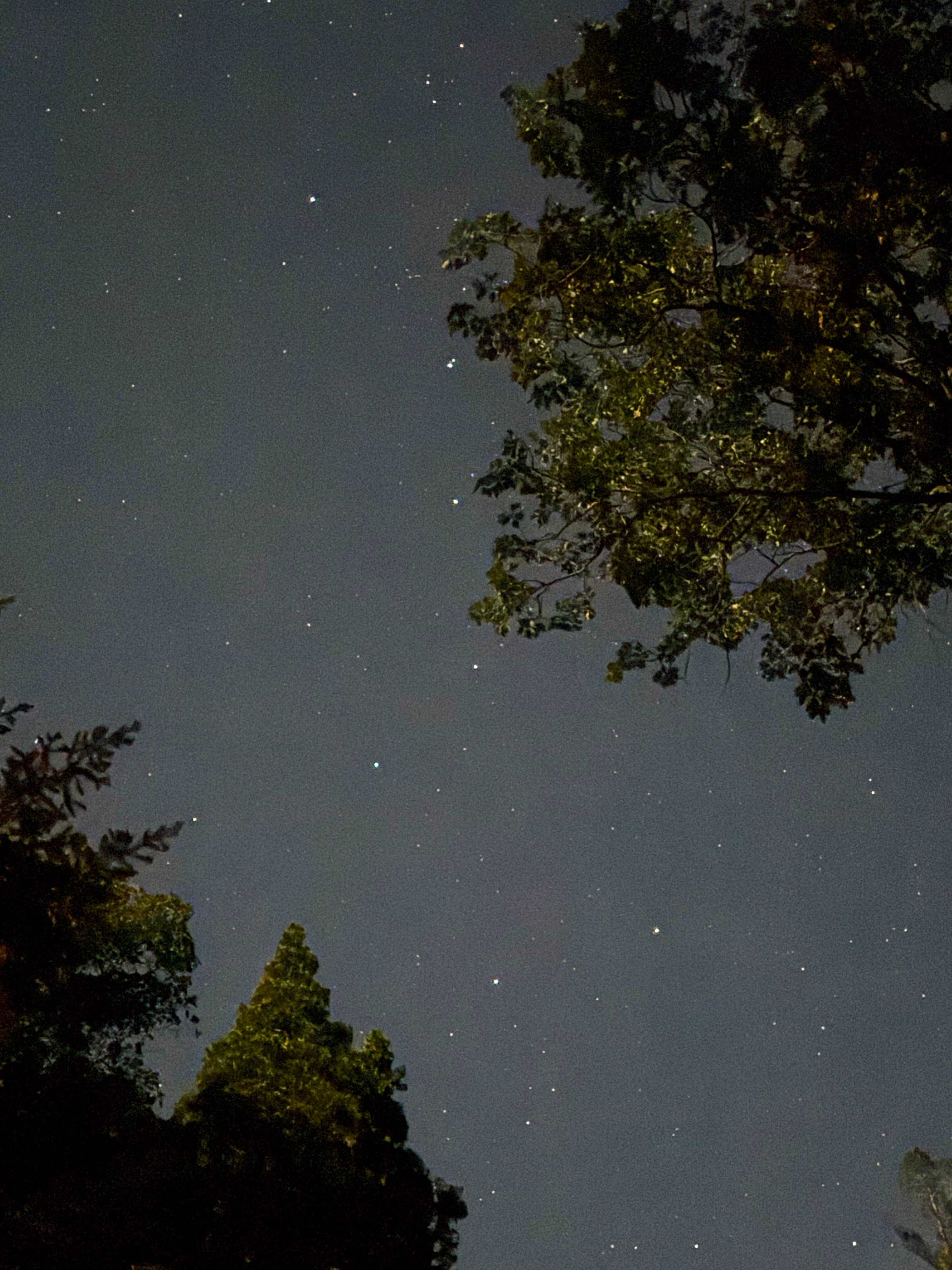 The sky was so clear, perfect for stargazing!