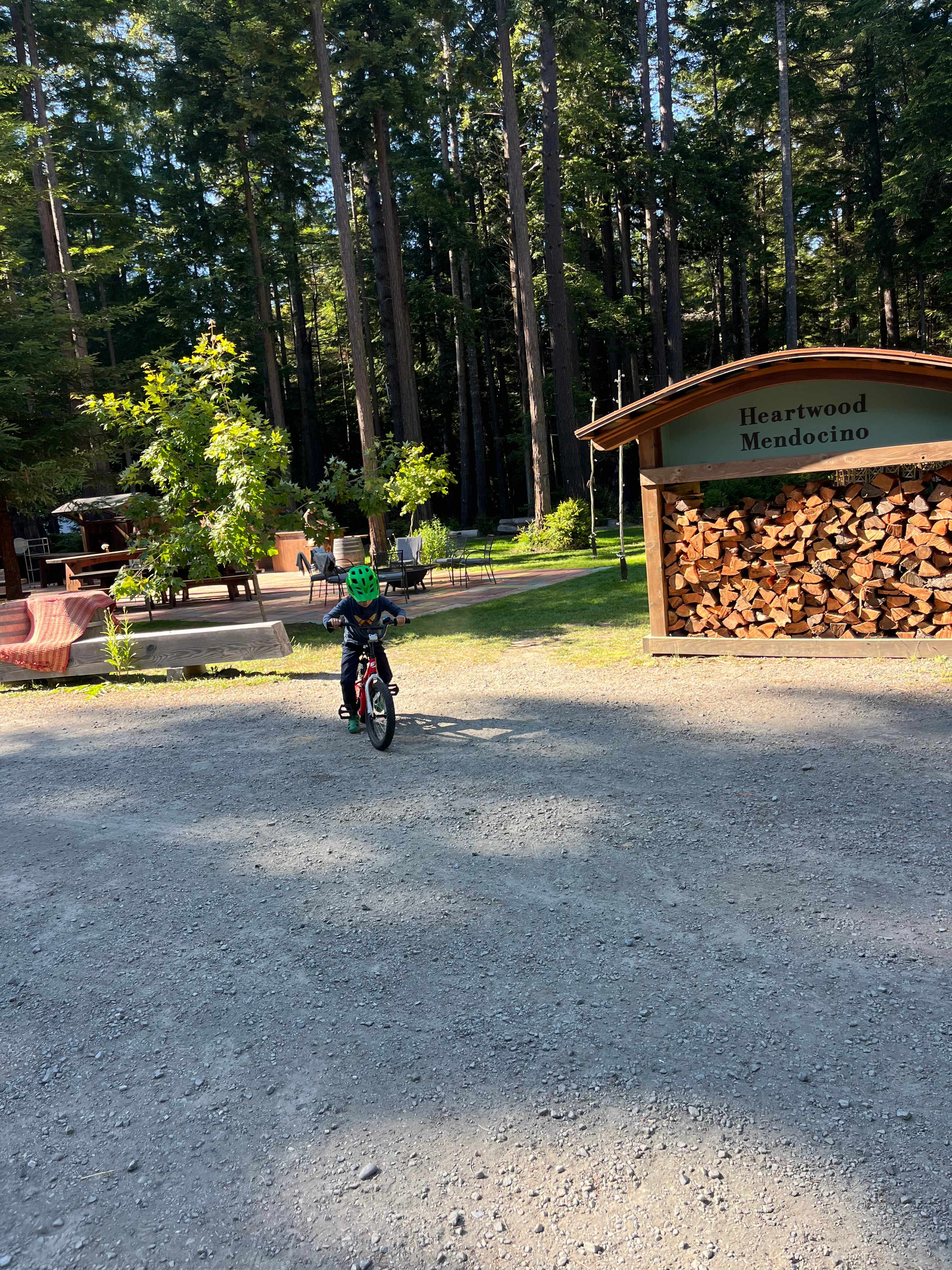 No need to bring fire wood! 