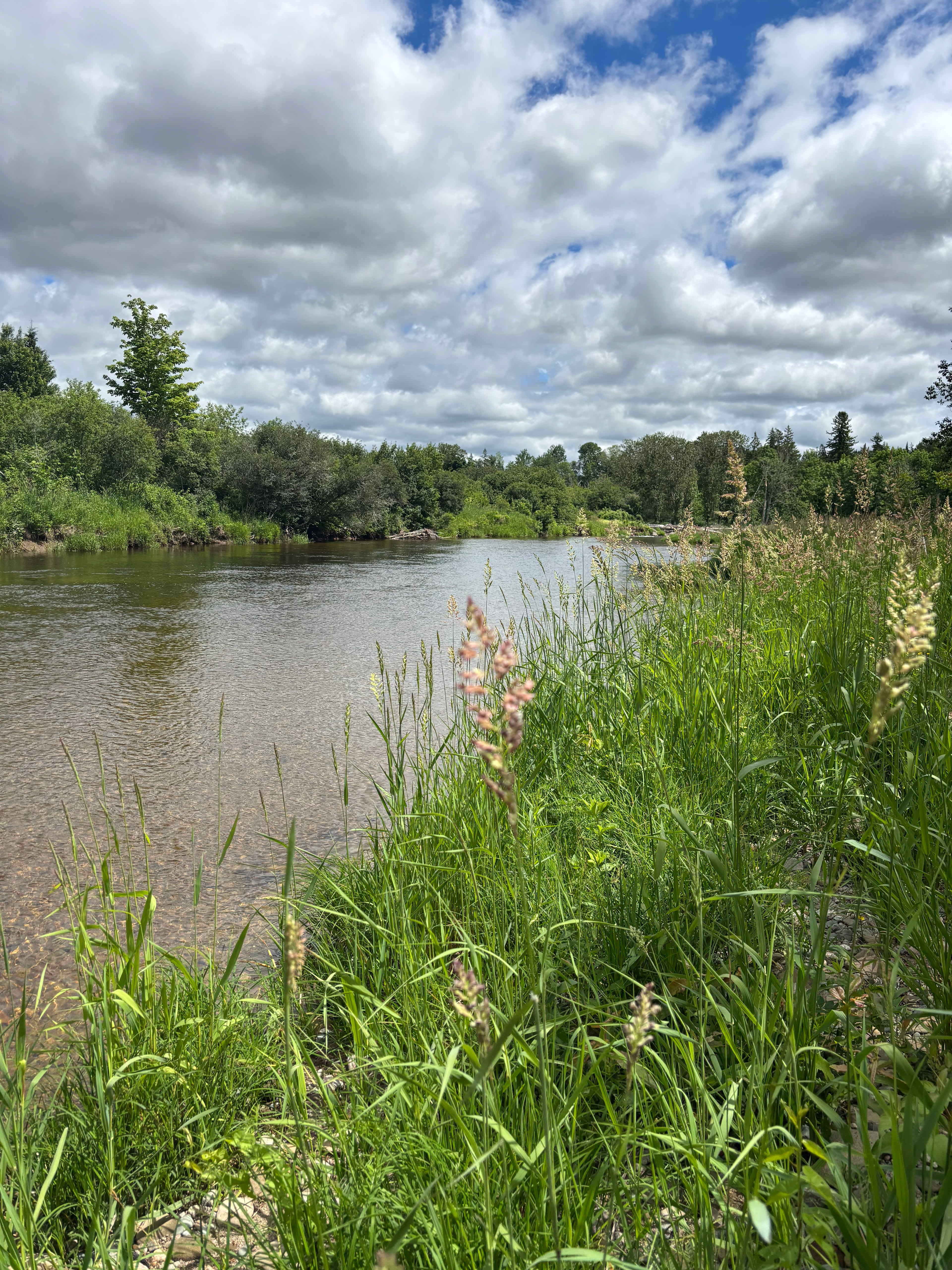 Old Mill Camp