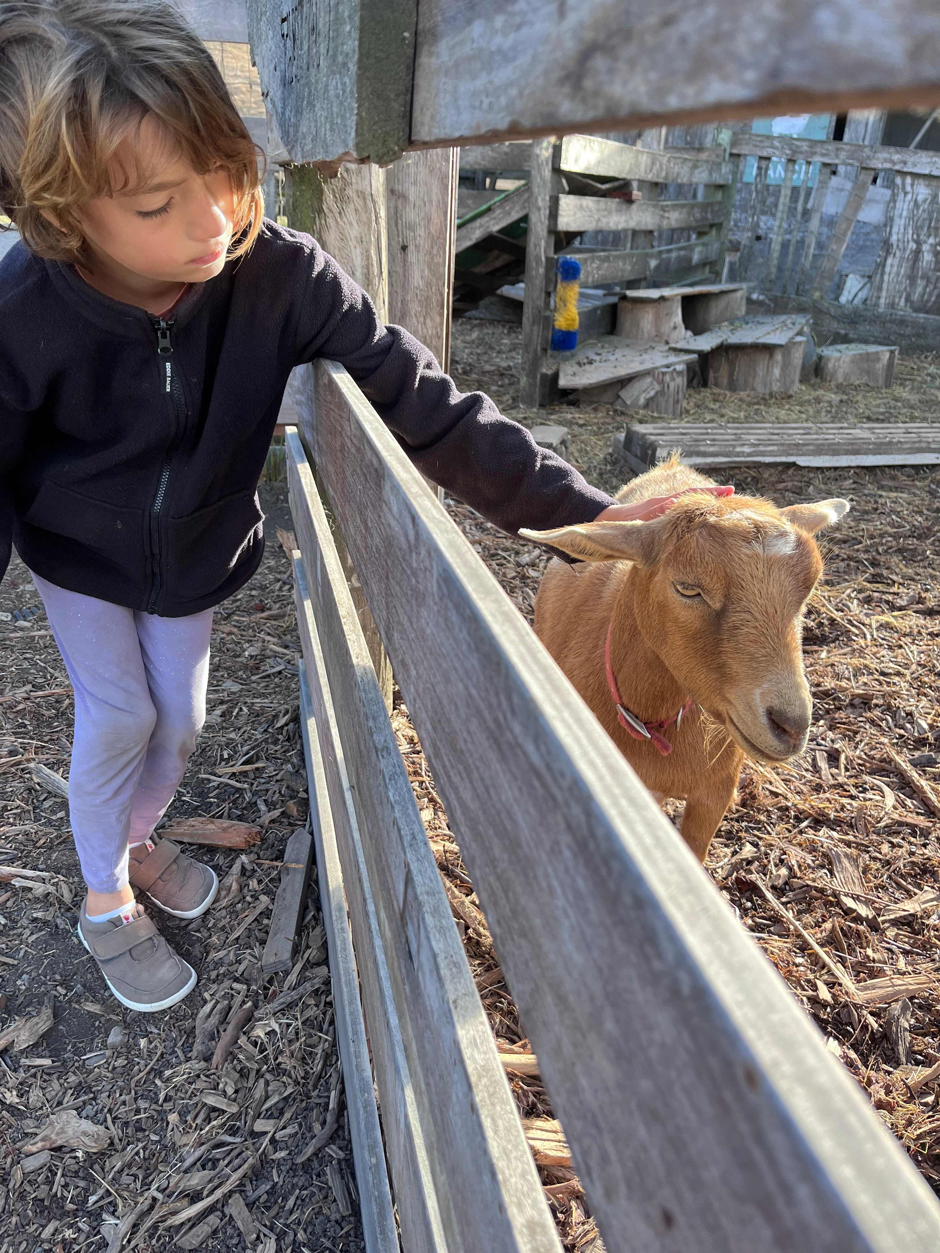 Slide Ranch