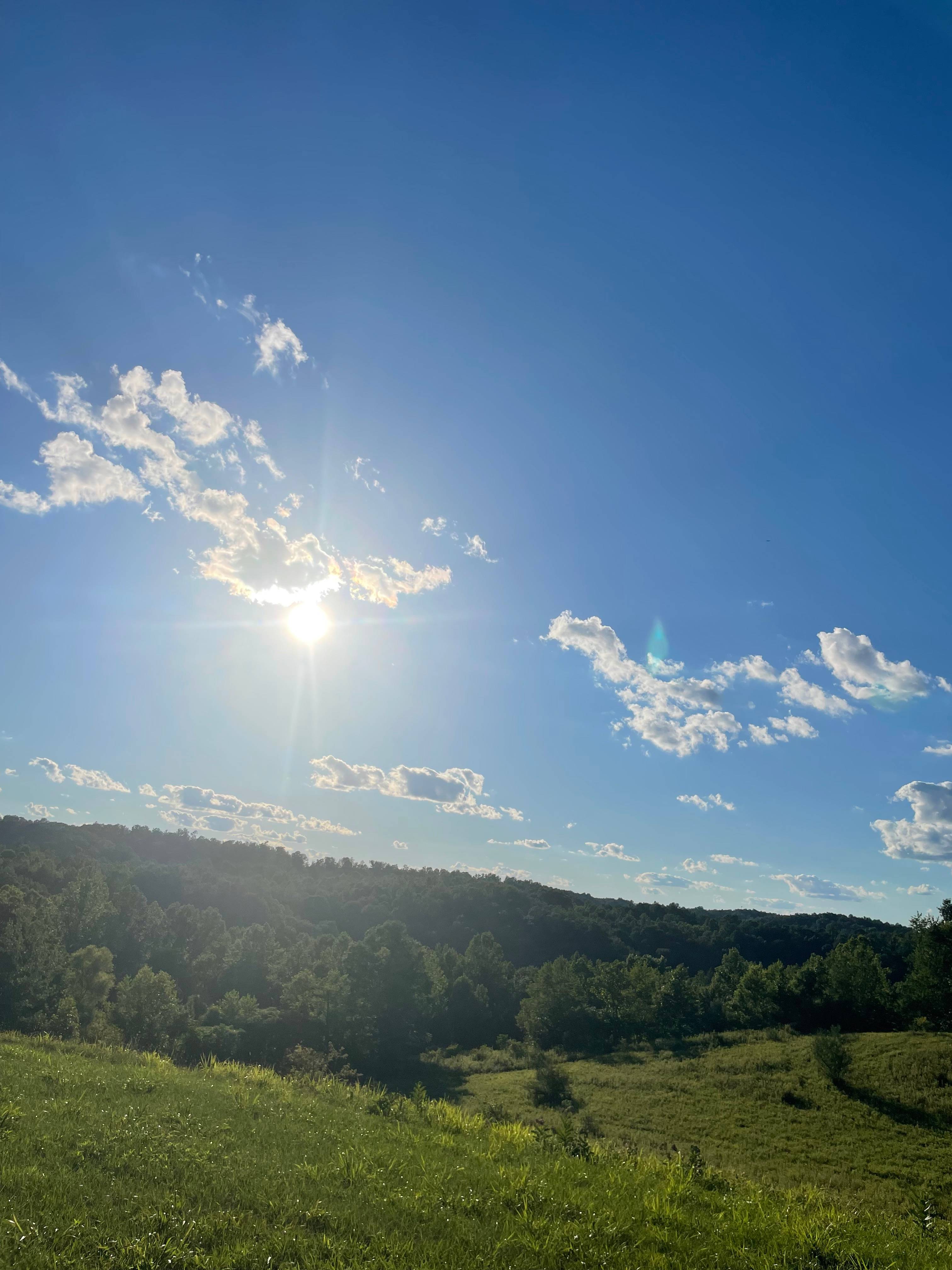 Full Moon Farm: Camping & Gathering