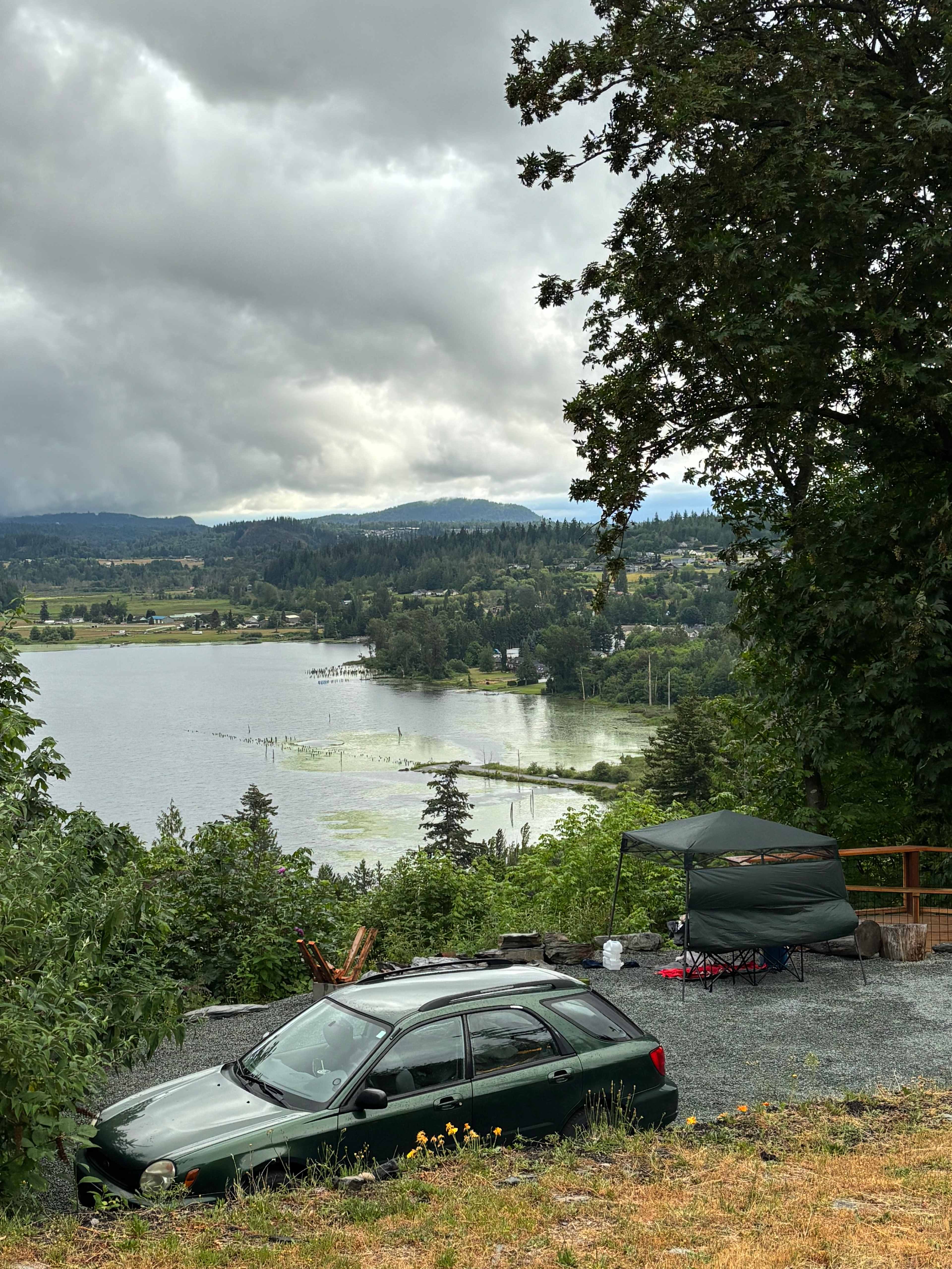 The Lookout